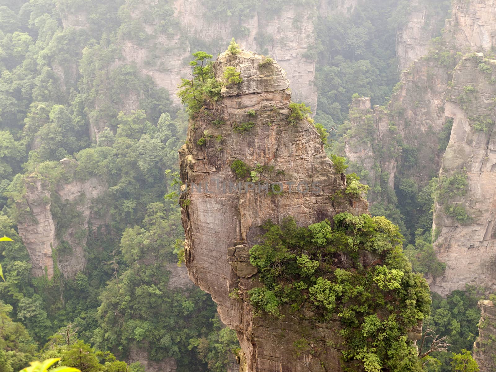 Rock mountain in Zhangjiajie national forest park of China, a world nature heritage site.