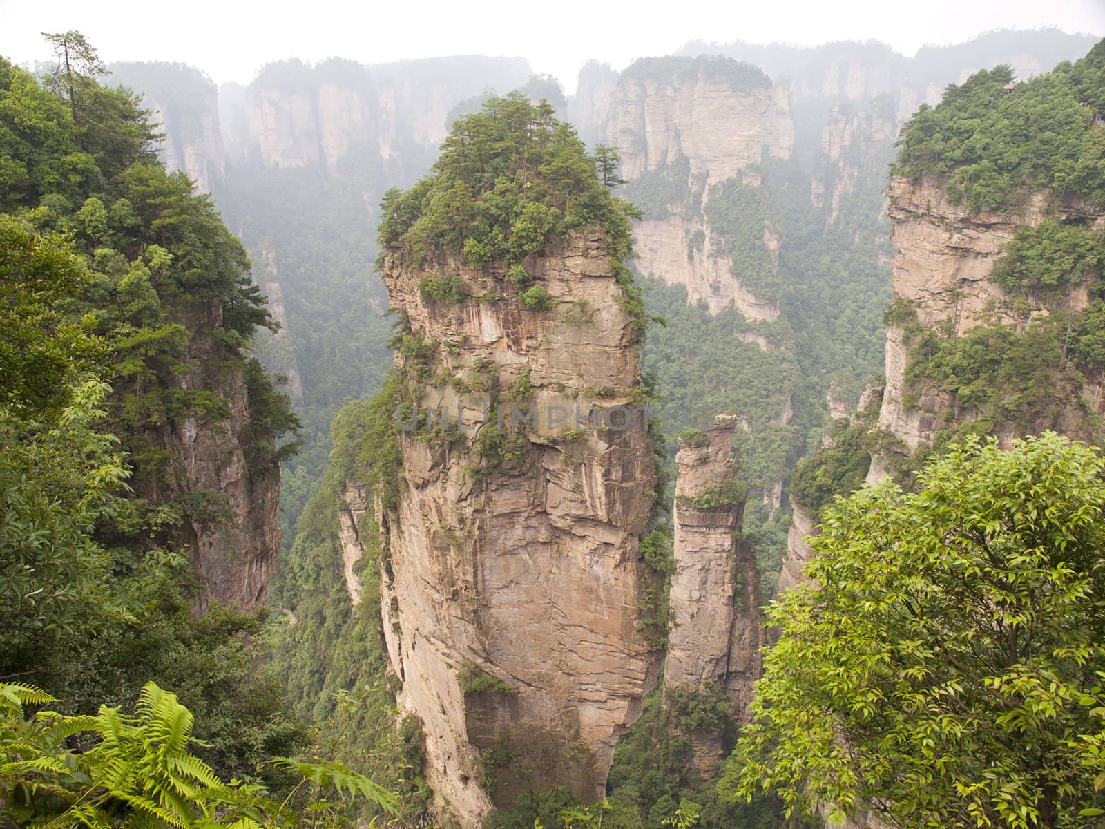 Rock mountain in Zhangjiajie national forest park of China, a world nature heritage site.