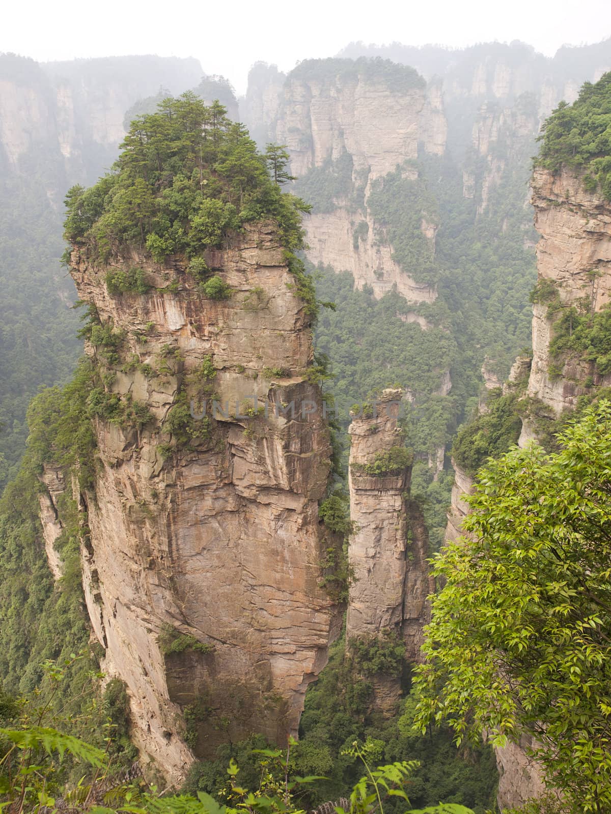 Rock mountain in Zhangjiajie national forest park of China, a world nature heritage site.