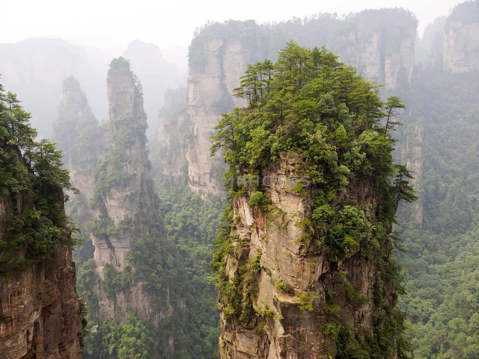 Rock mountain in Zhangjiajie national forest park of China, a world nature heritage site.