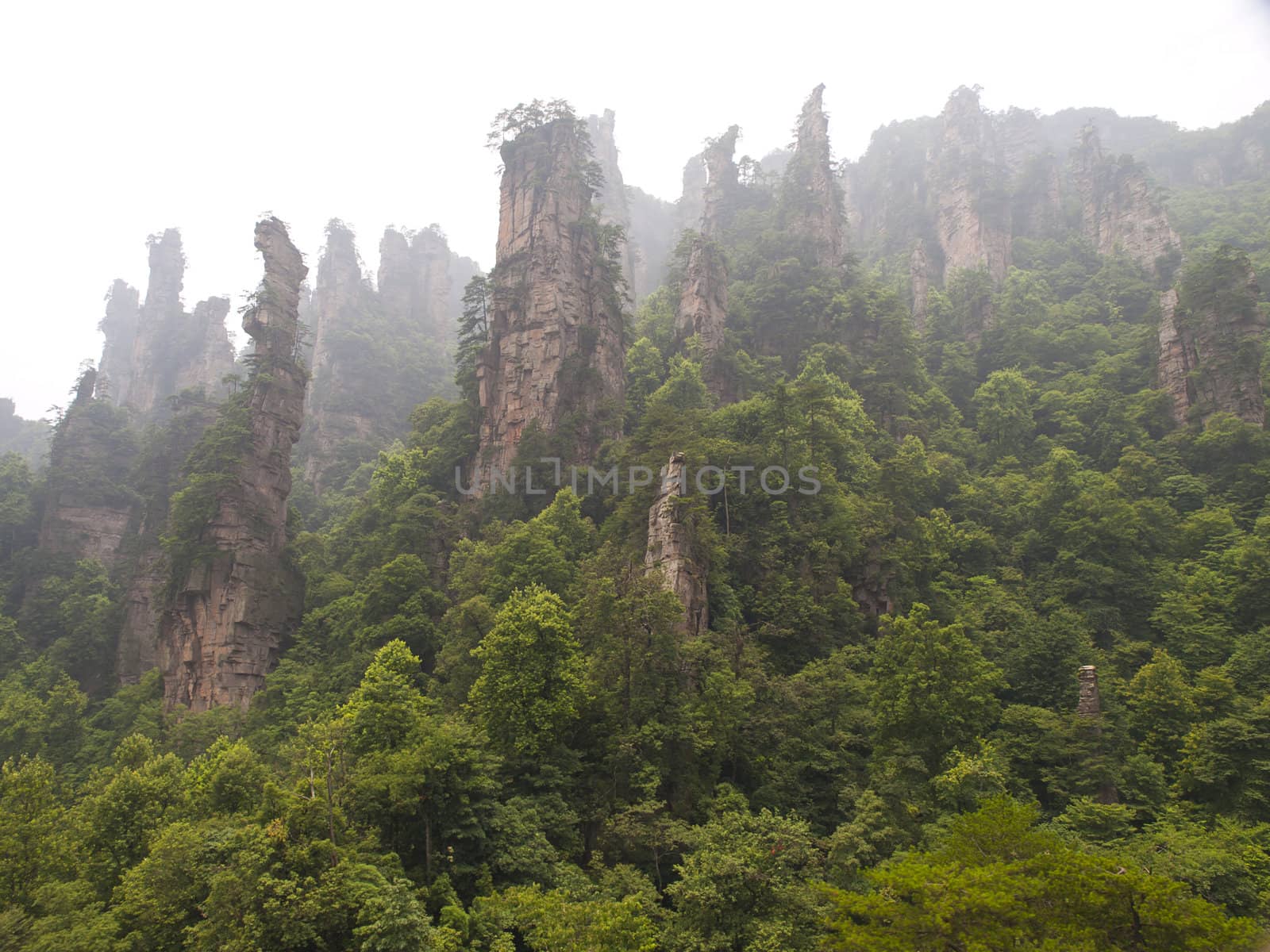 Rock mountain in Zhangjiajie national forest park of China, a world nature heritage site.