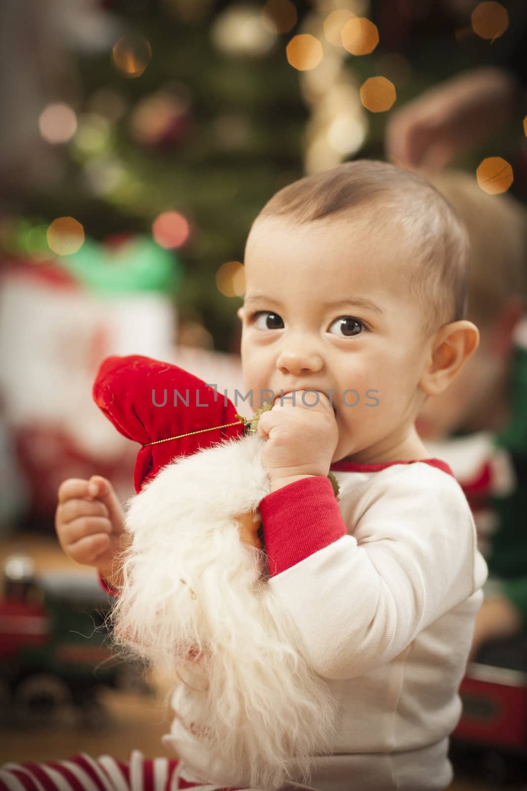 Cute Infant Mixed Race Baby Enjoying Christmas Morning Near The Tree.