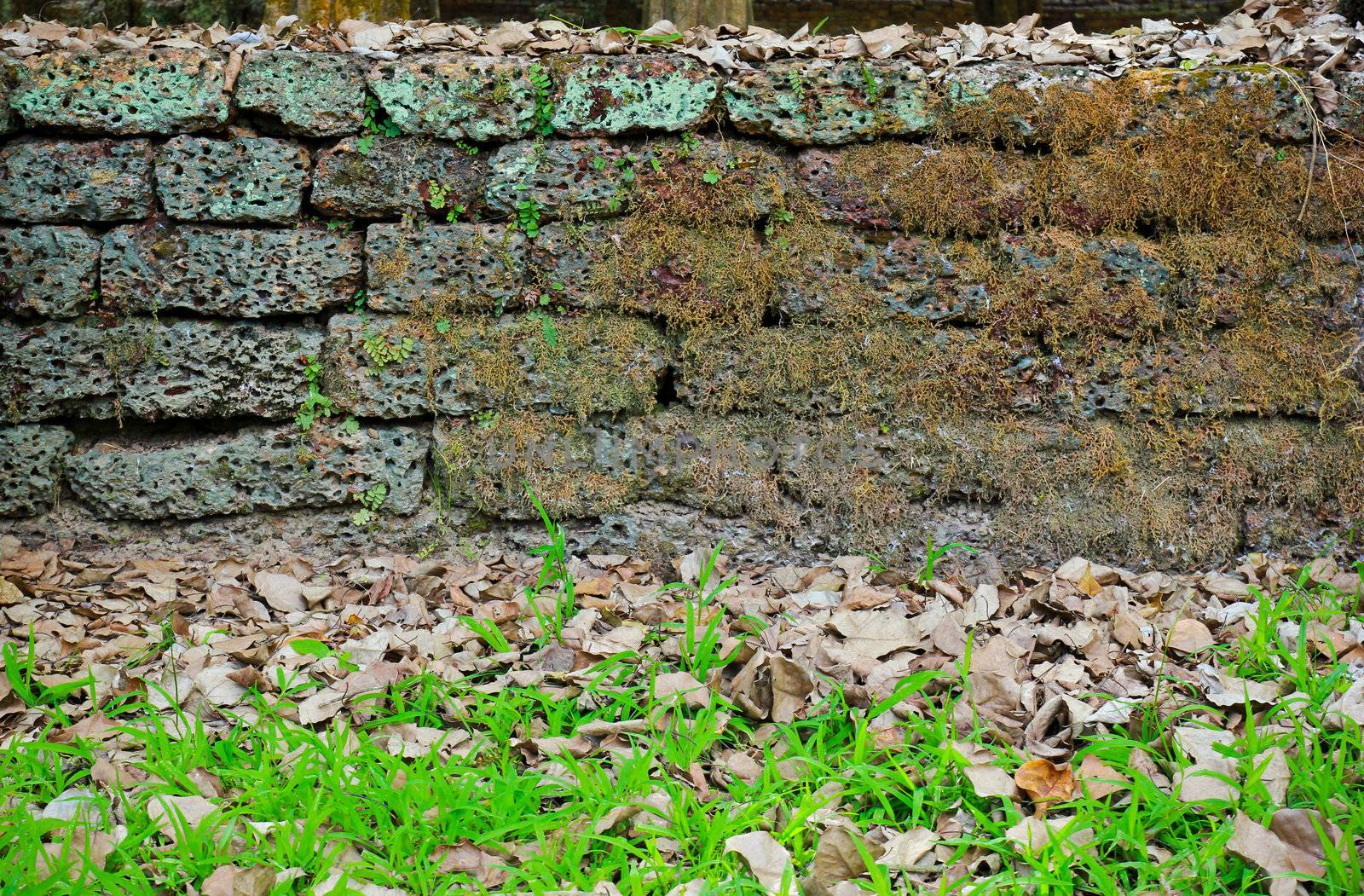 Texture of rough brick wall with grass