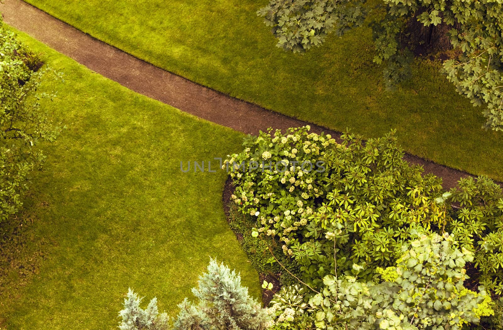 Garden path in an autumn garden