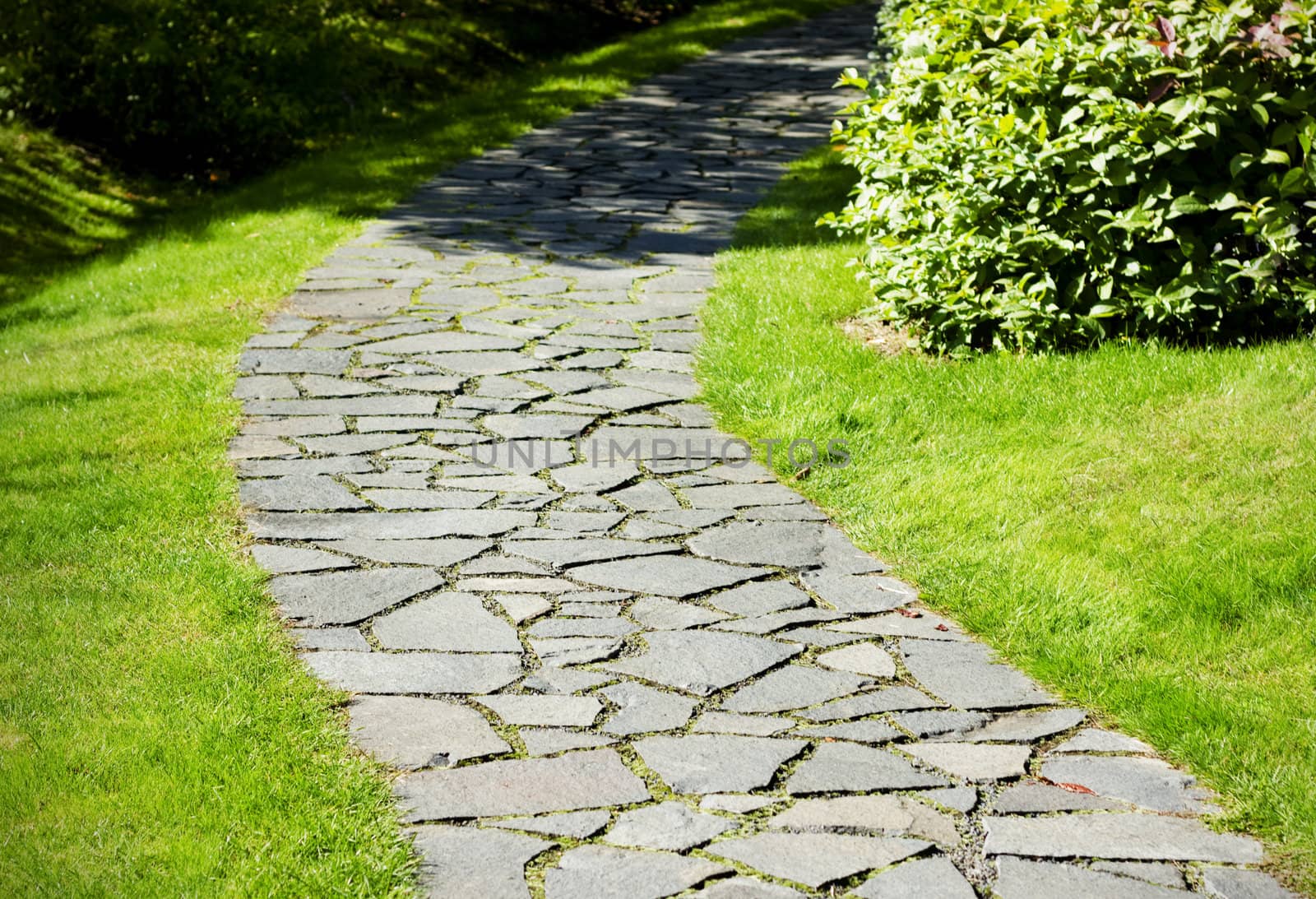 Garden path paved with a natural stone in a autumn garden