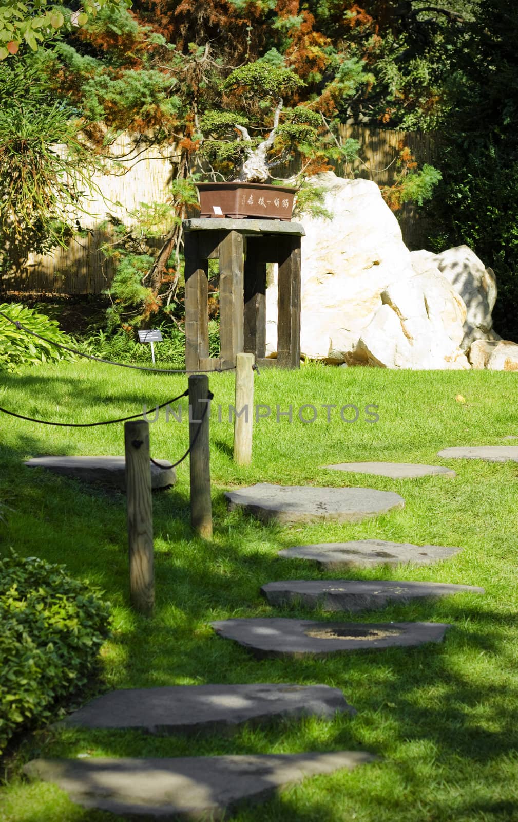 Stoned path in japanese garden by Kristina_Usoltseva