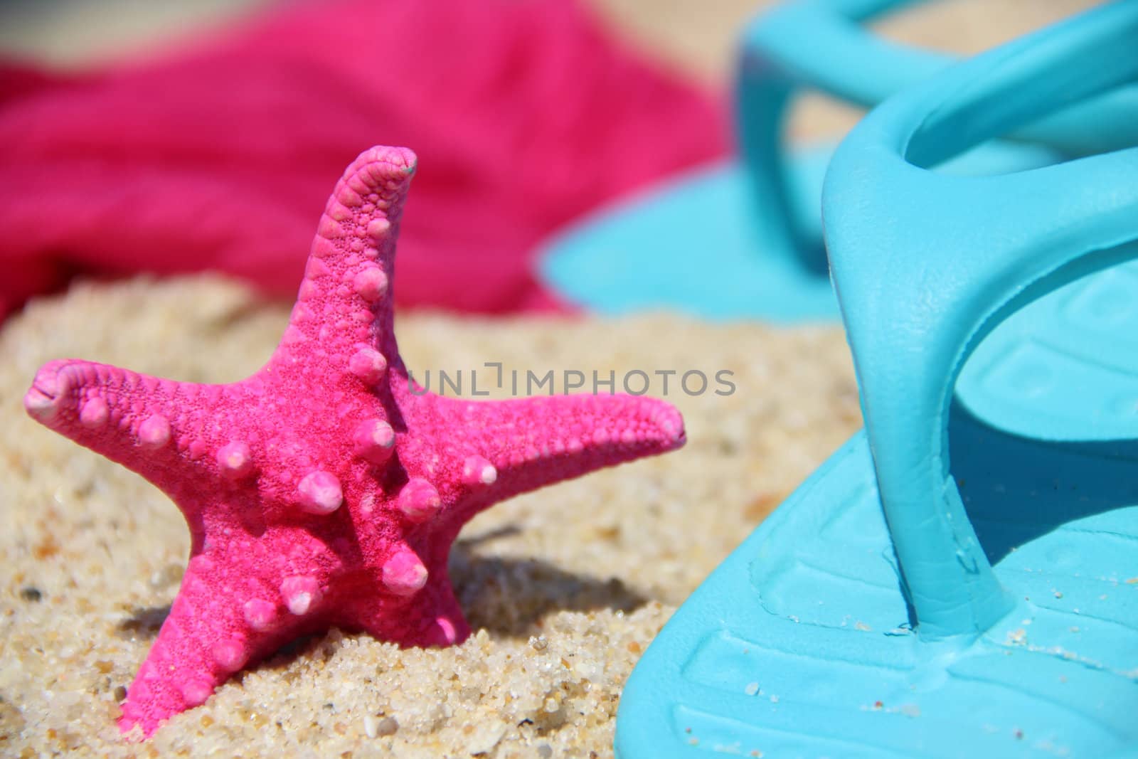 Funny pink starfish on the seacost by tanouchka