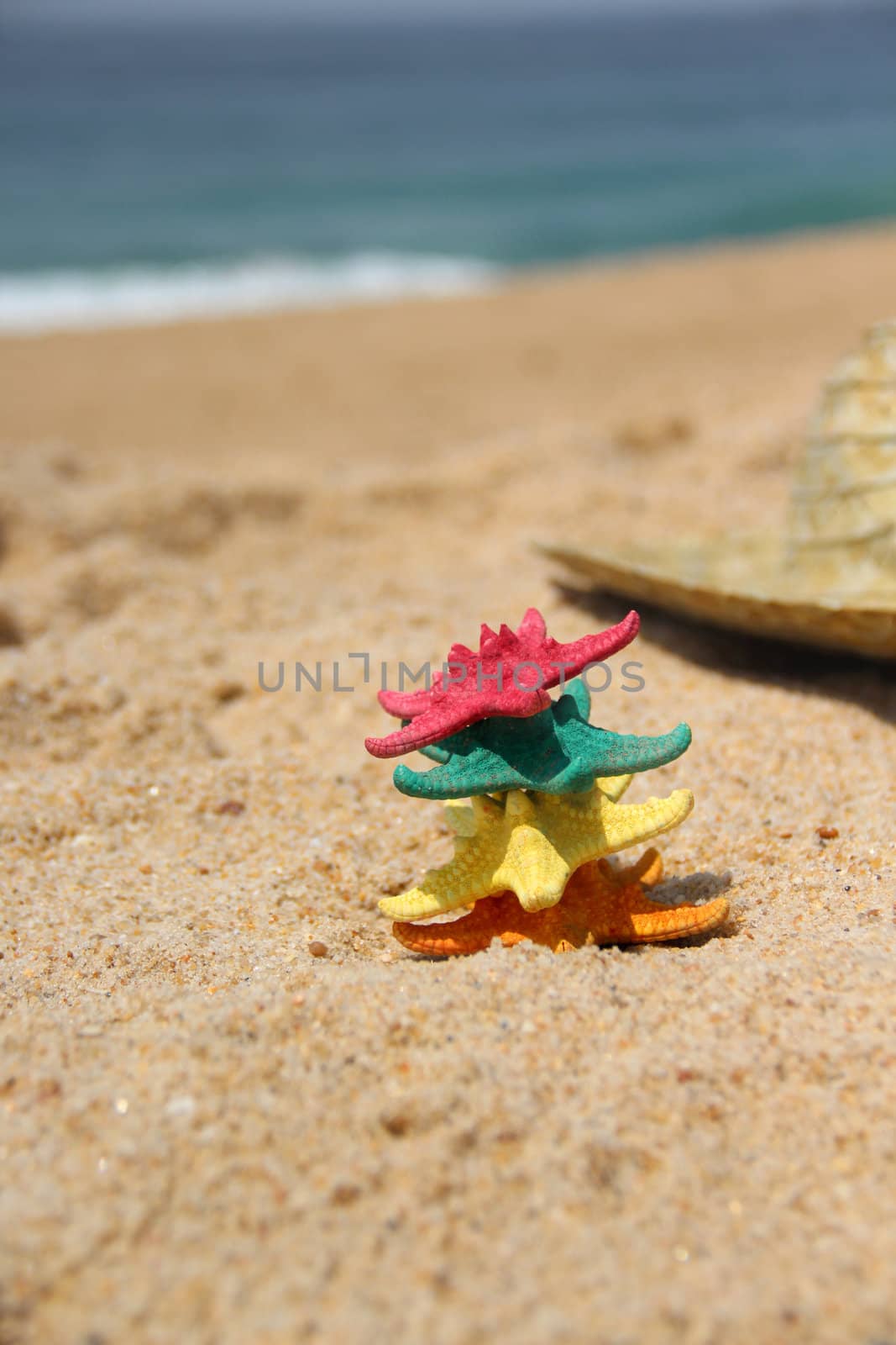 Funny vivid starfishes on the beach 