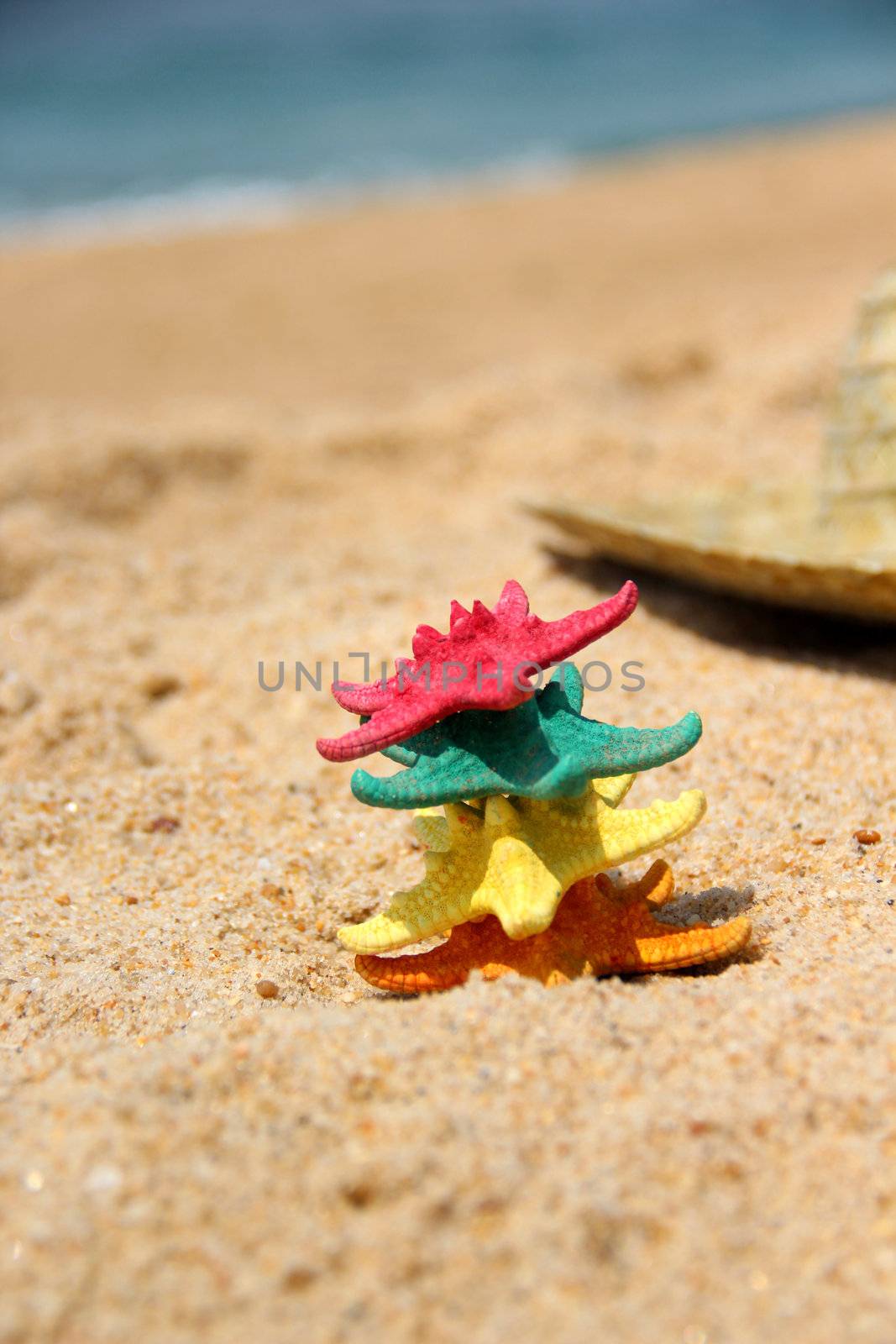 Funny starfishes on the beach  by tanouchka