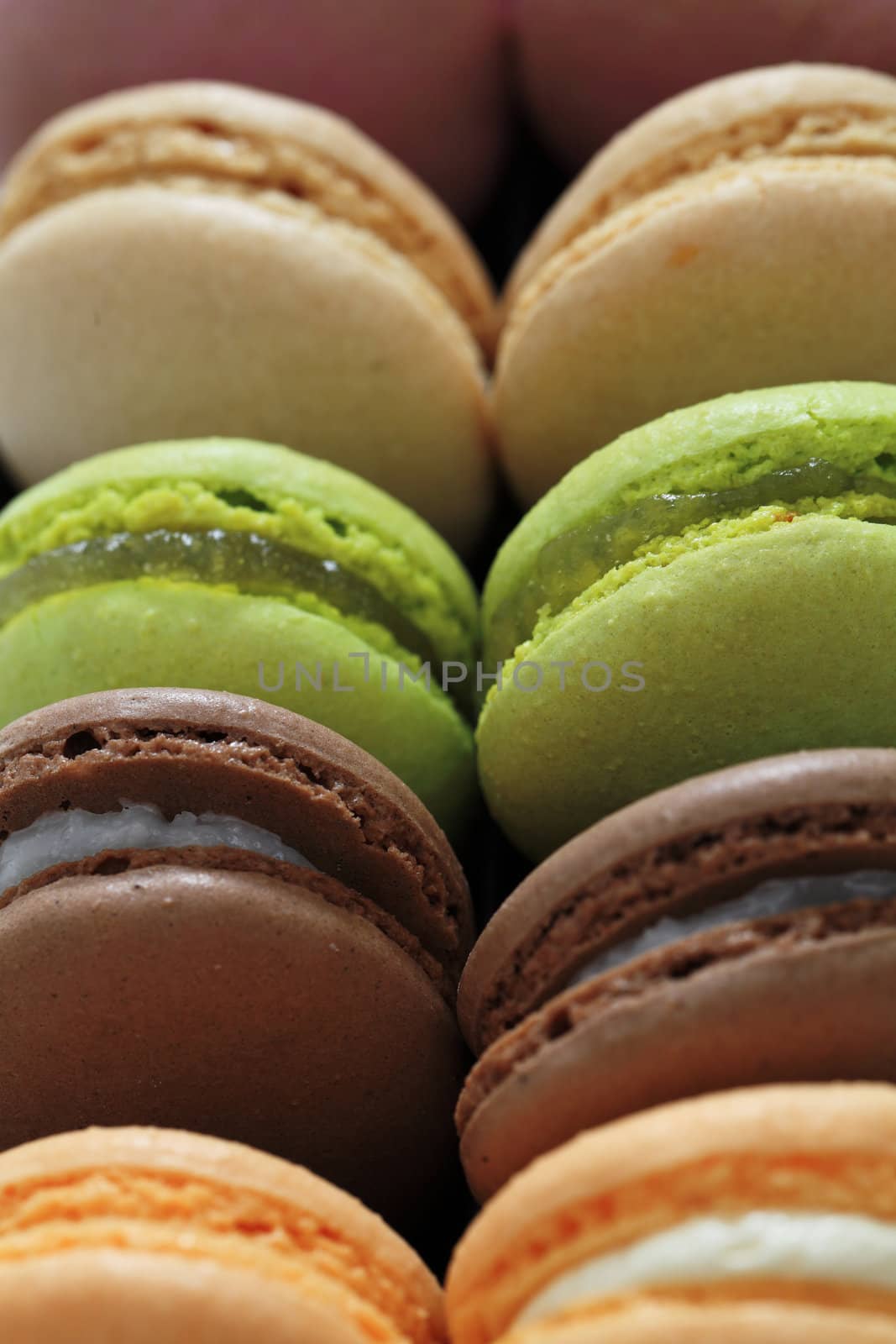 Close-up image of two rows of colorful macarons.