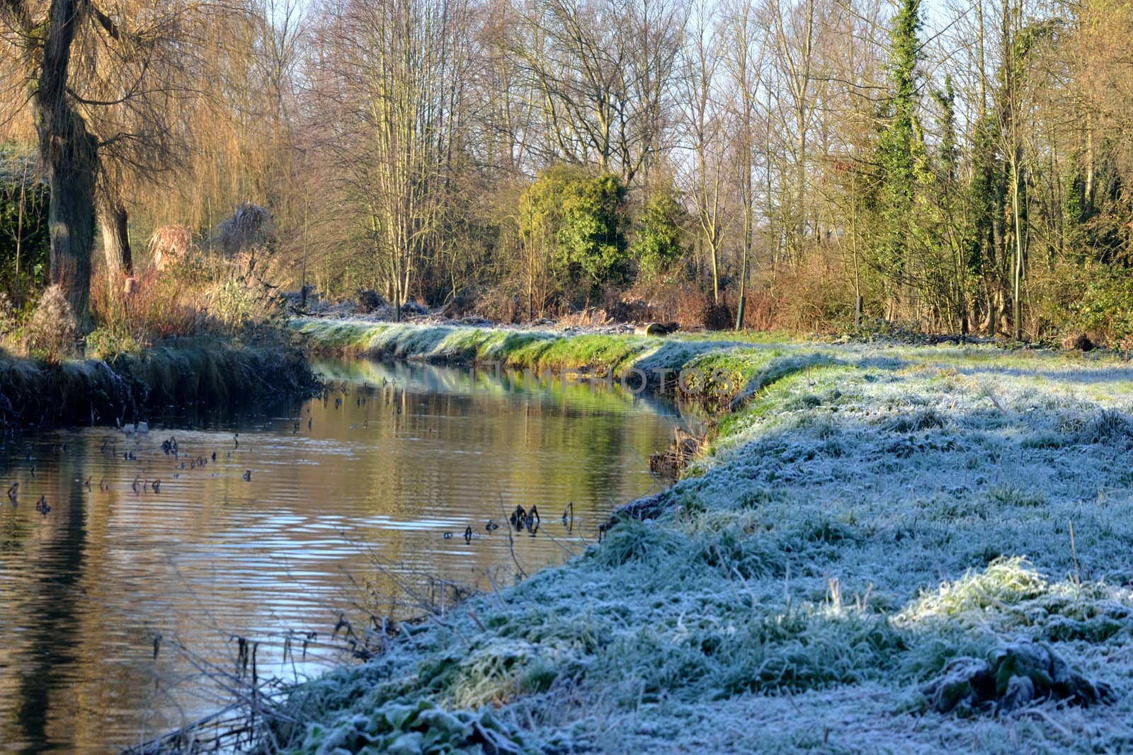 frosty english river scene