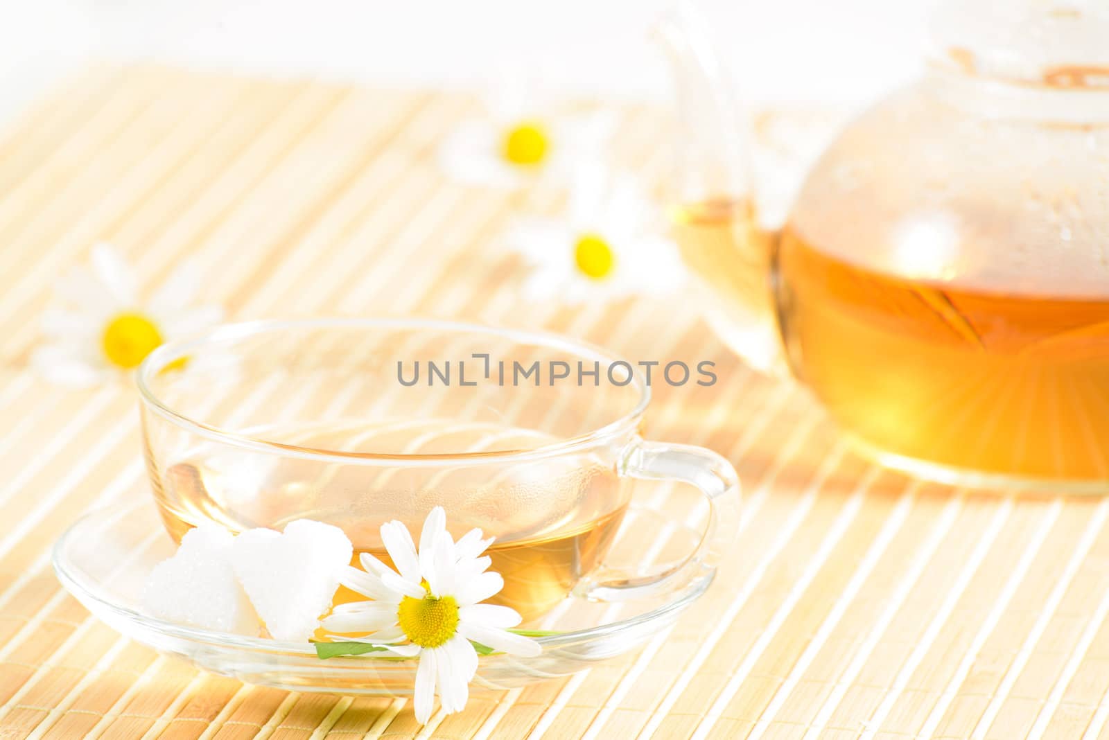 A teacup and a teapot with herbal chamomile tea