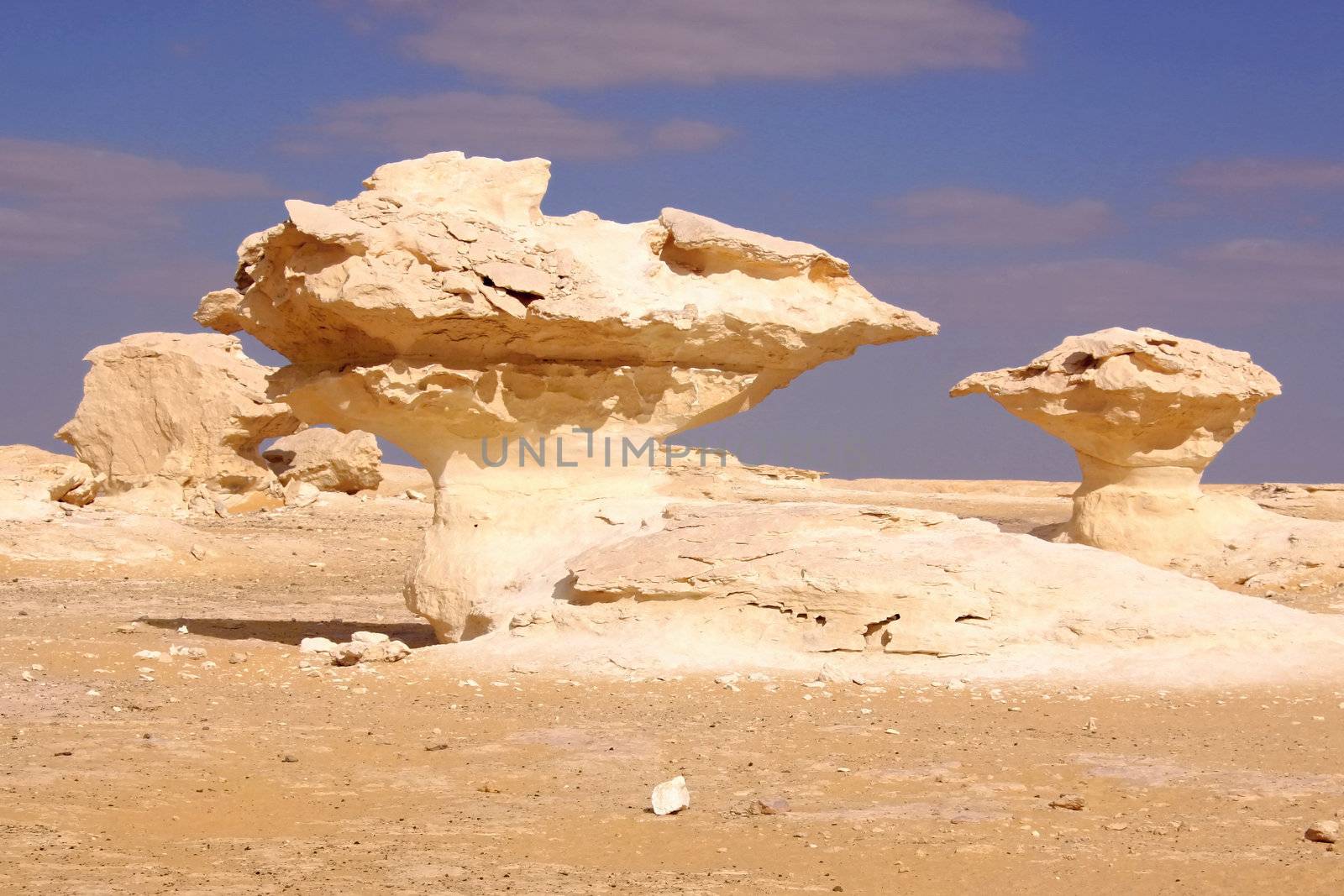 Wind and sand modeled rock sculptures in white desert 