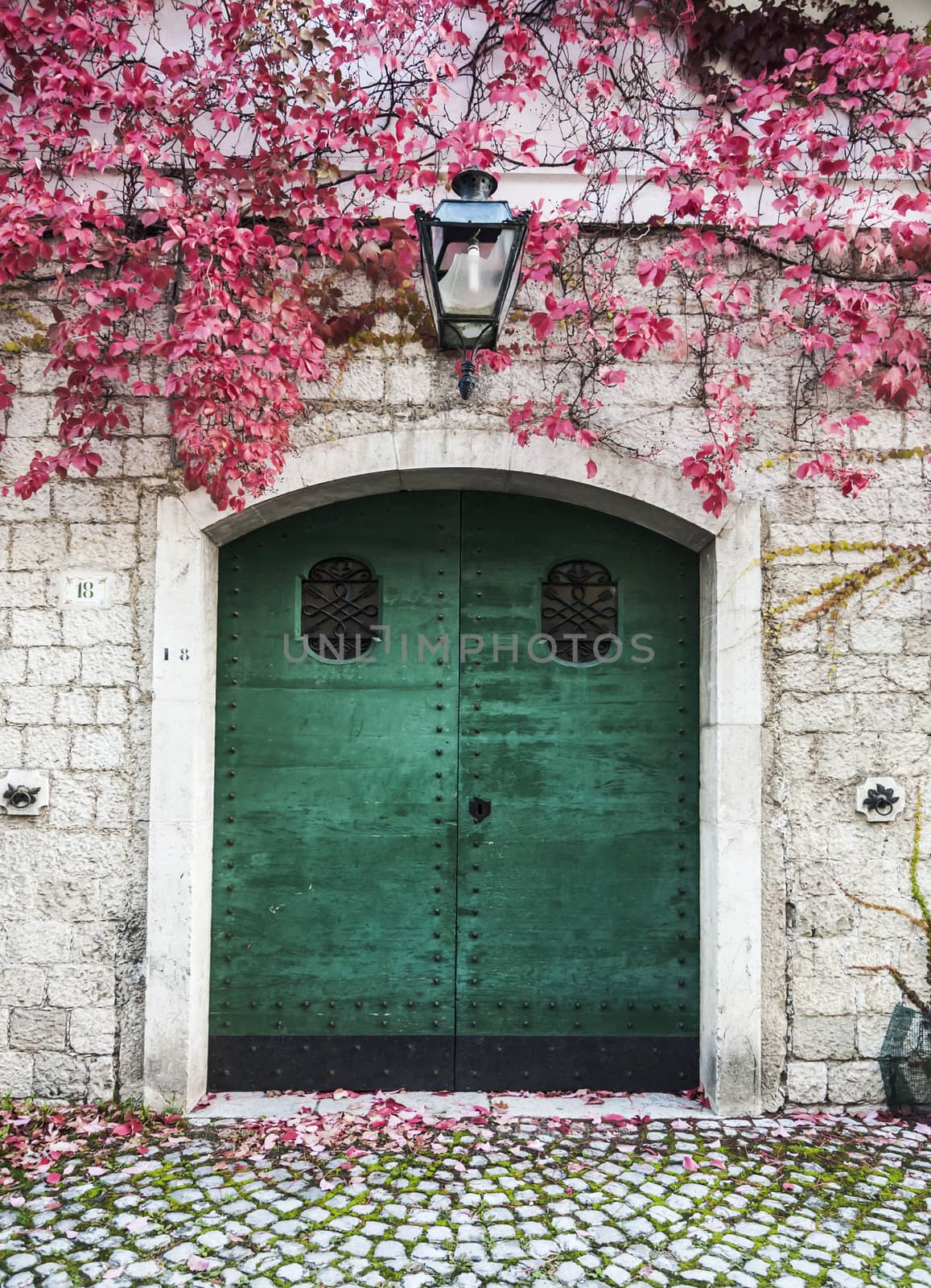 italian door in small village, Italy