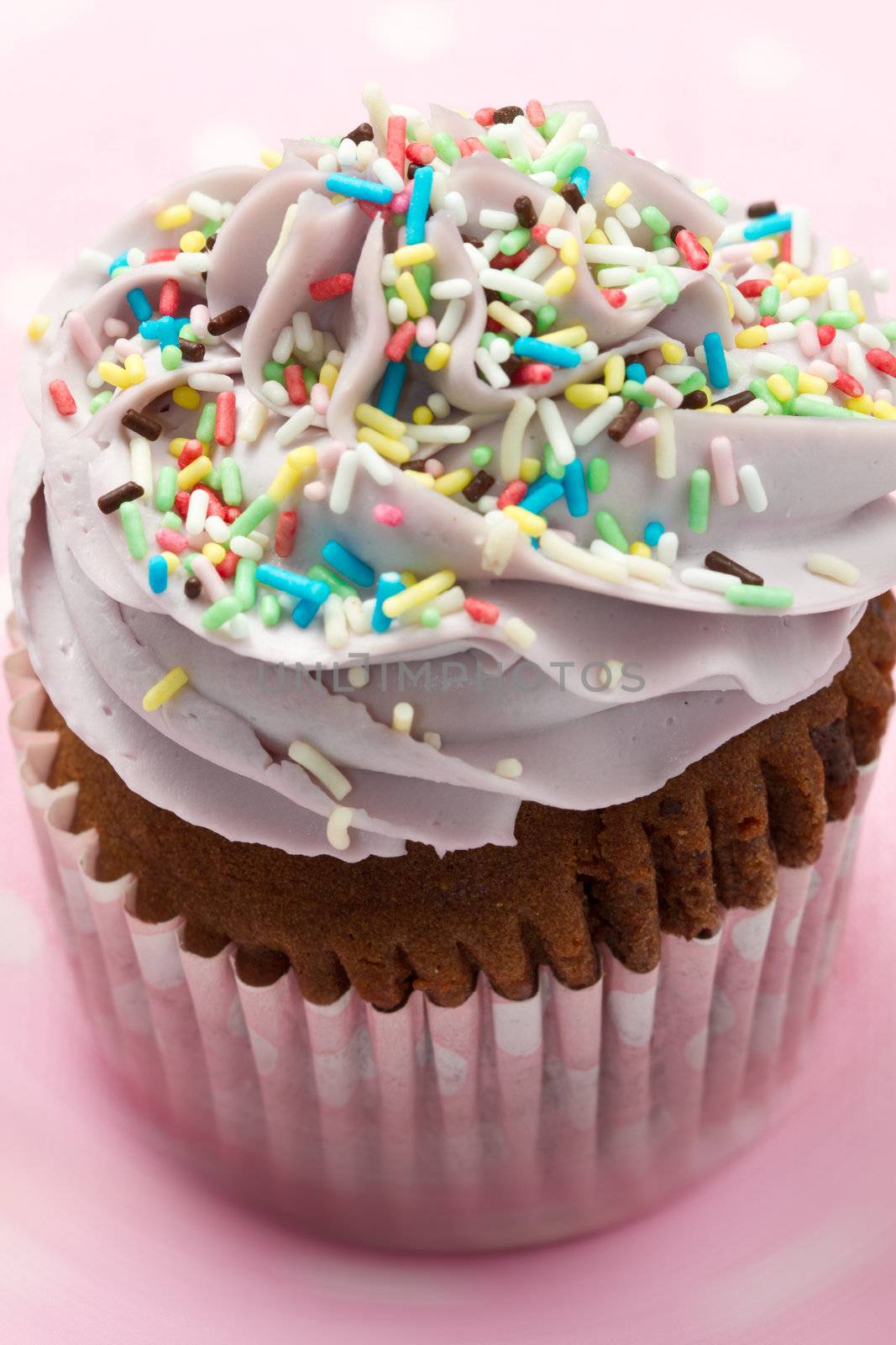 Vanilla cupcakes, decorated with lavender-coloured butter cream 