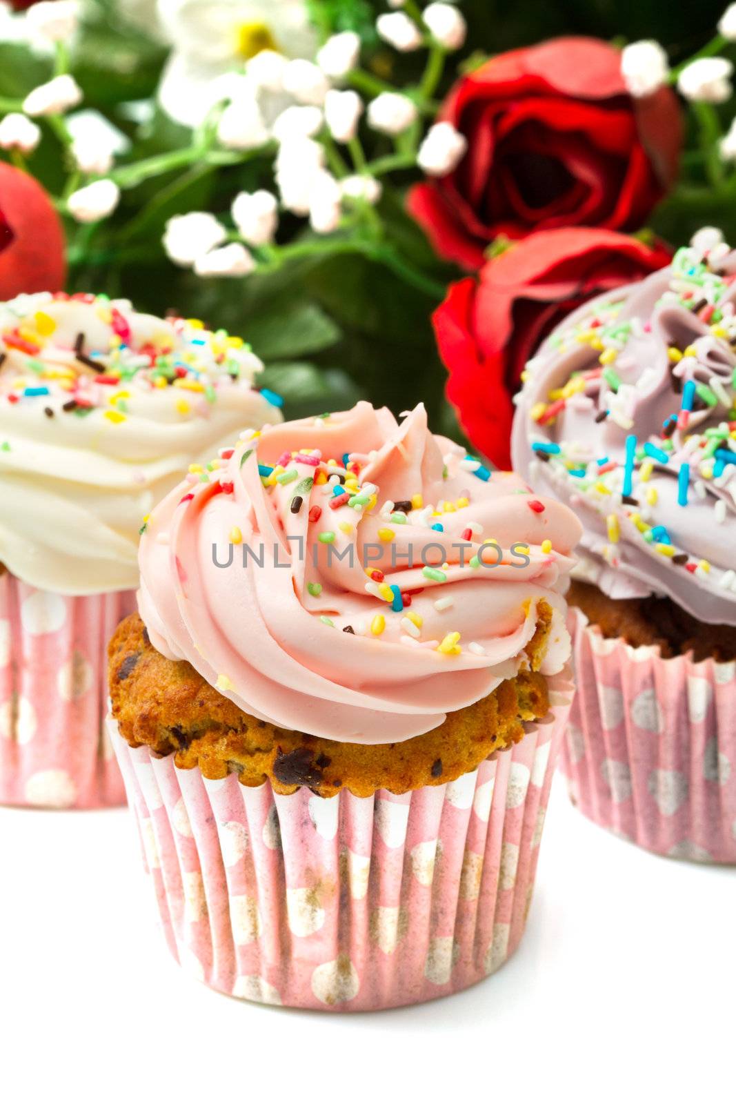 Vanilla cupcakes with buttercream icing 