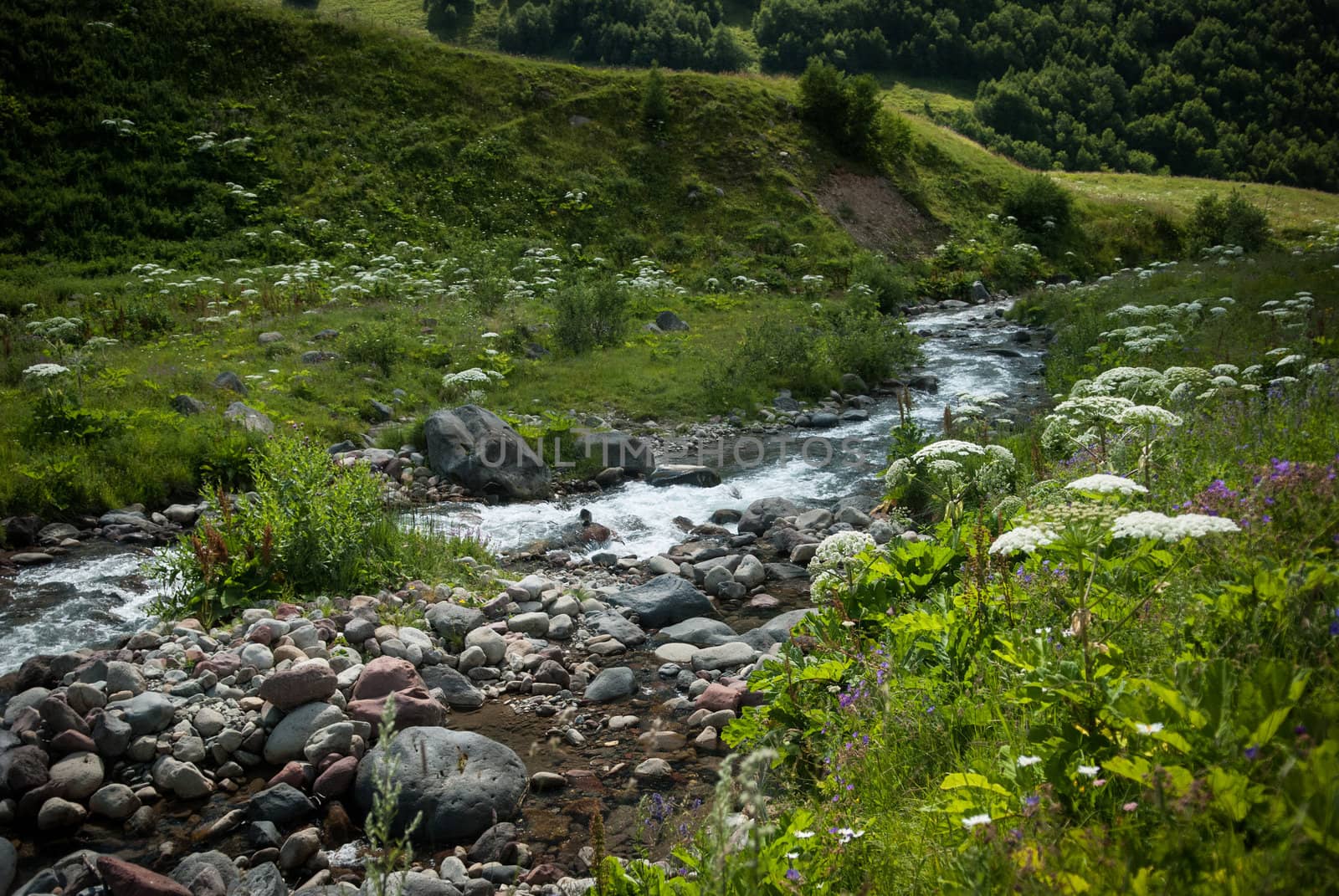 River in Caucasian Mountains in South Ossetia