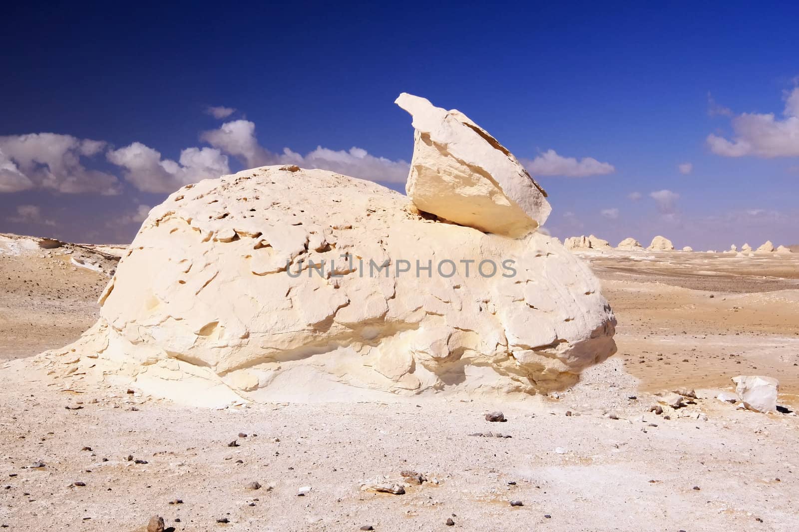 The rock formation like as rabbit in White desert,Egypt