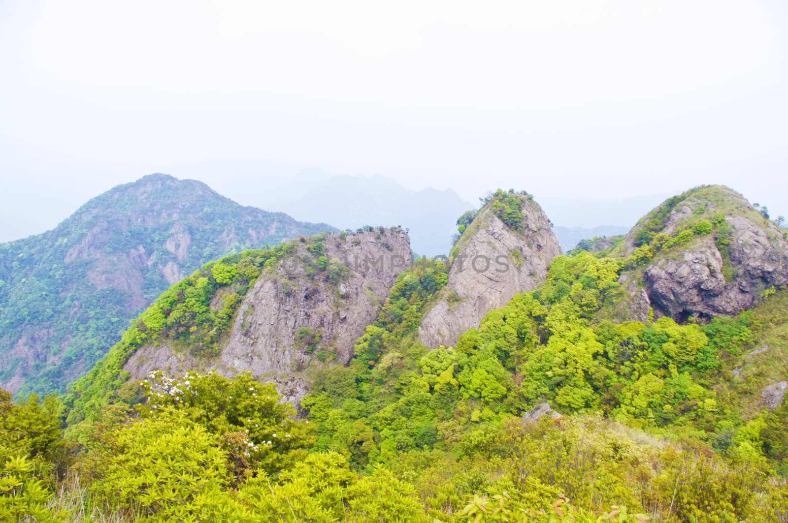 viewing the nailing ridge of china at summer