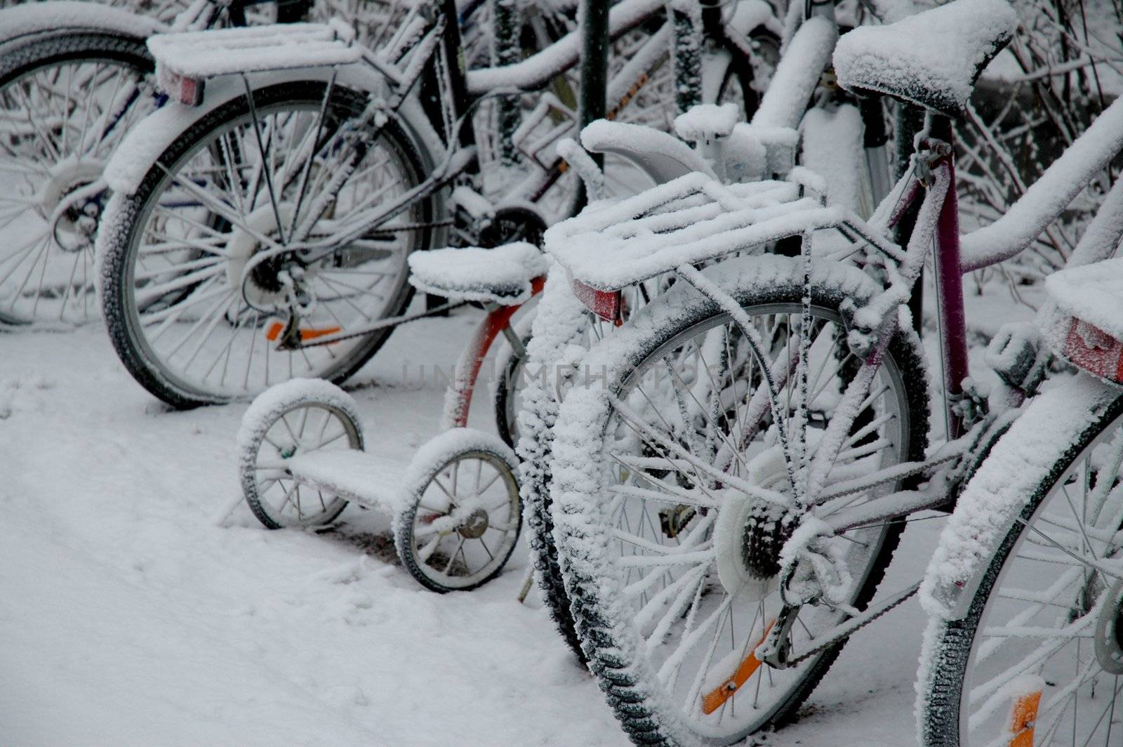 Bicycles in snow by Alenmax