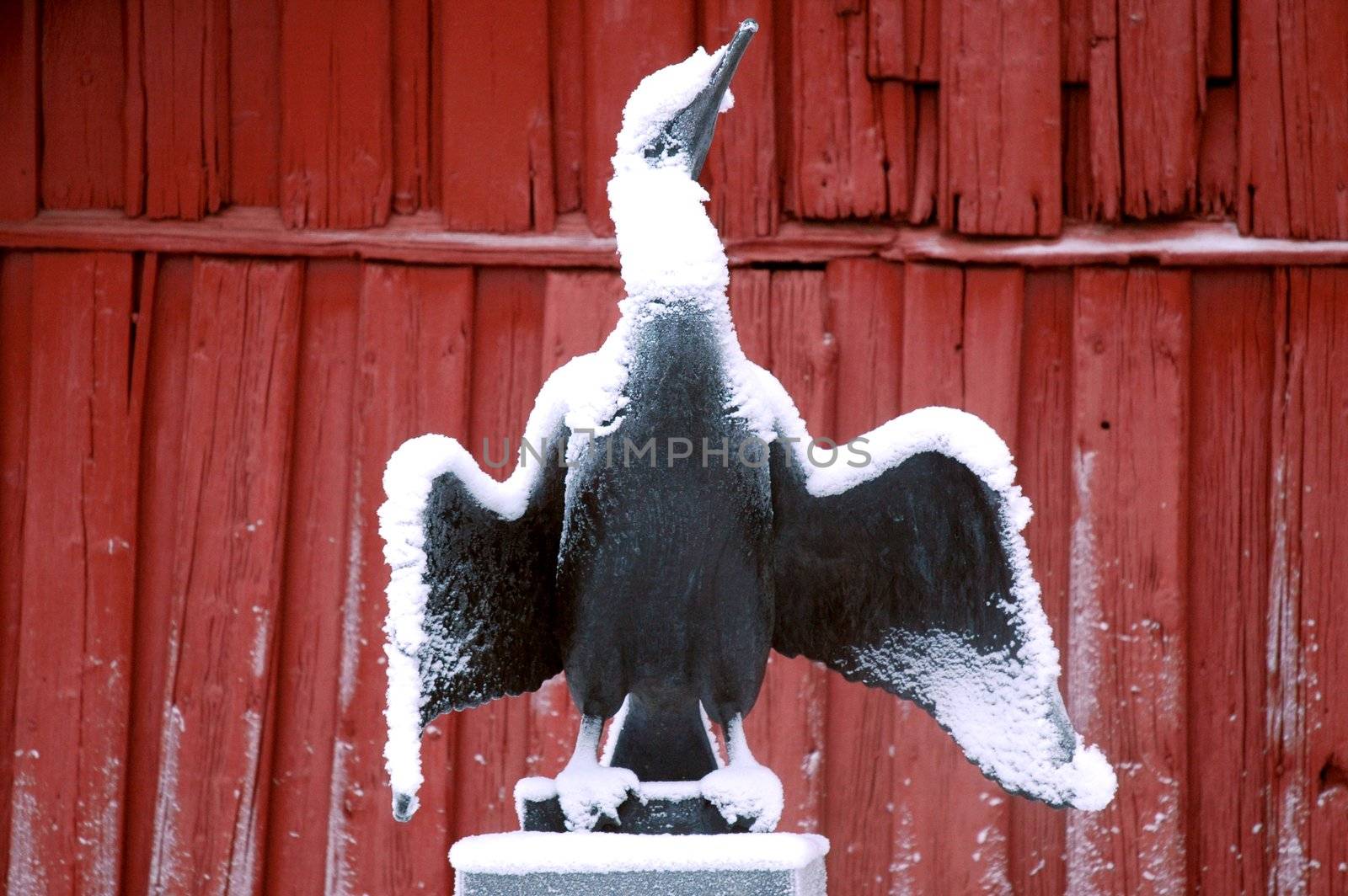 bronze bird in snow by Alenmax