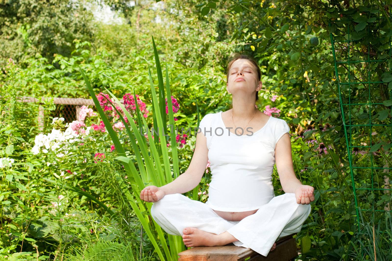 Relaxing in a garden by naumoid