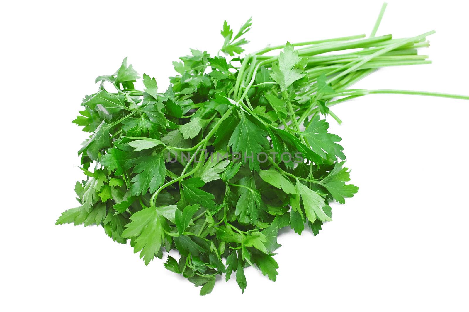 Bunch of parsley on a white background by NickNick