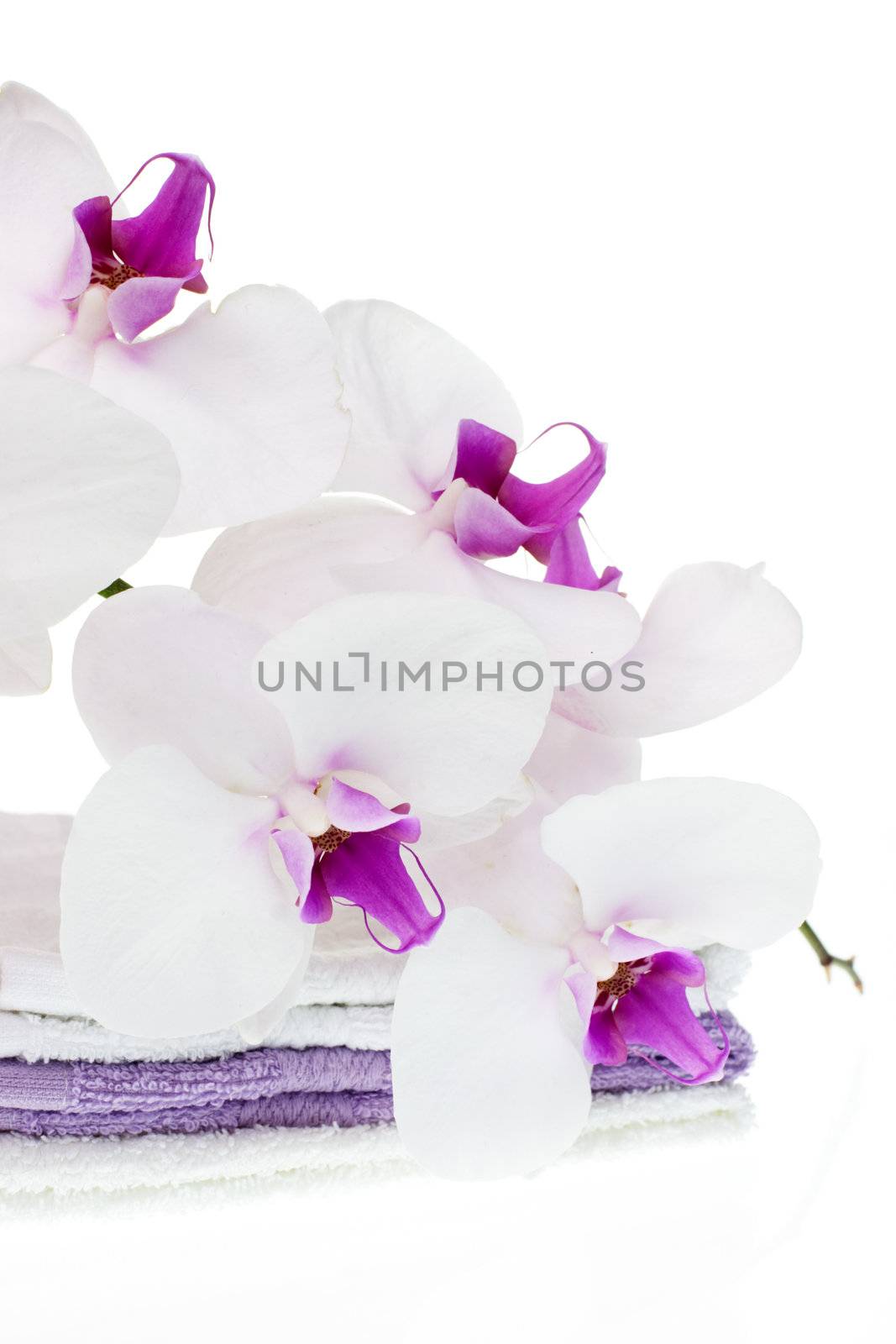 Spa set with white orchid and towels on white background