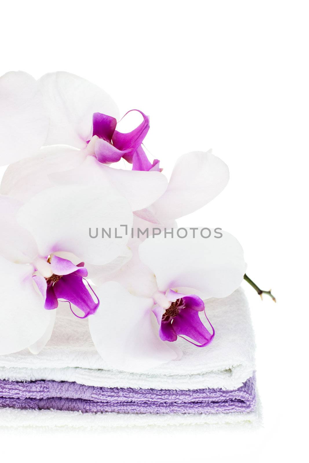 Spa set with white orchid and towels on white background