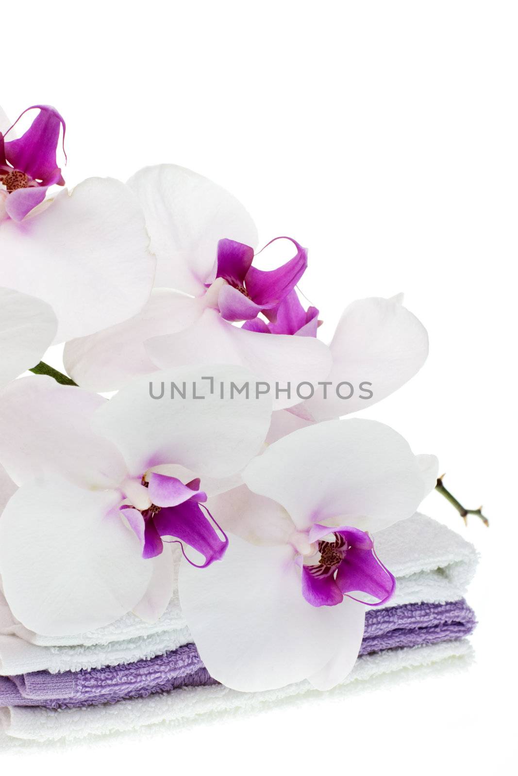 Spa set with white orchid and towels on white background