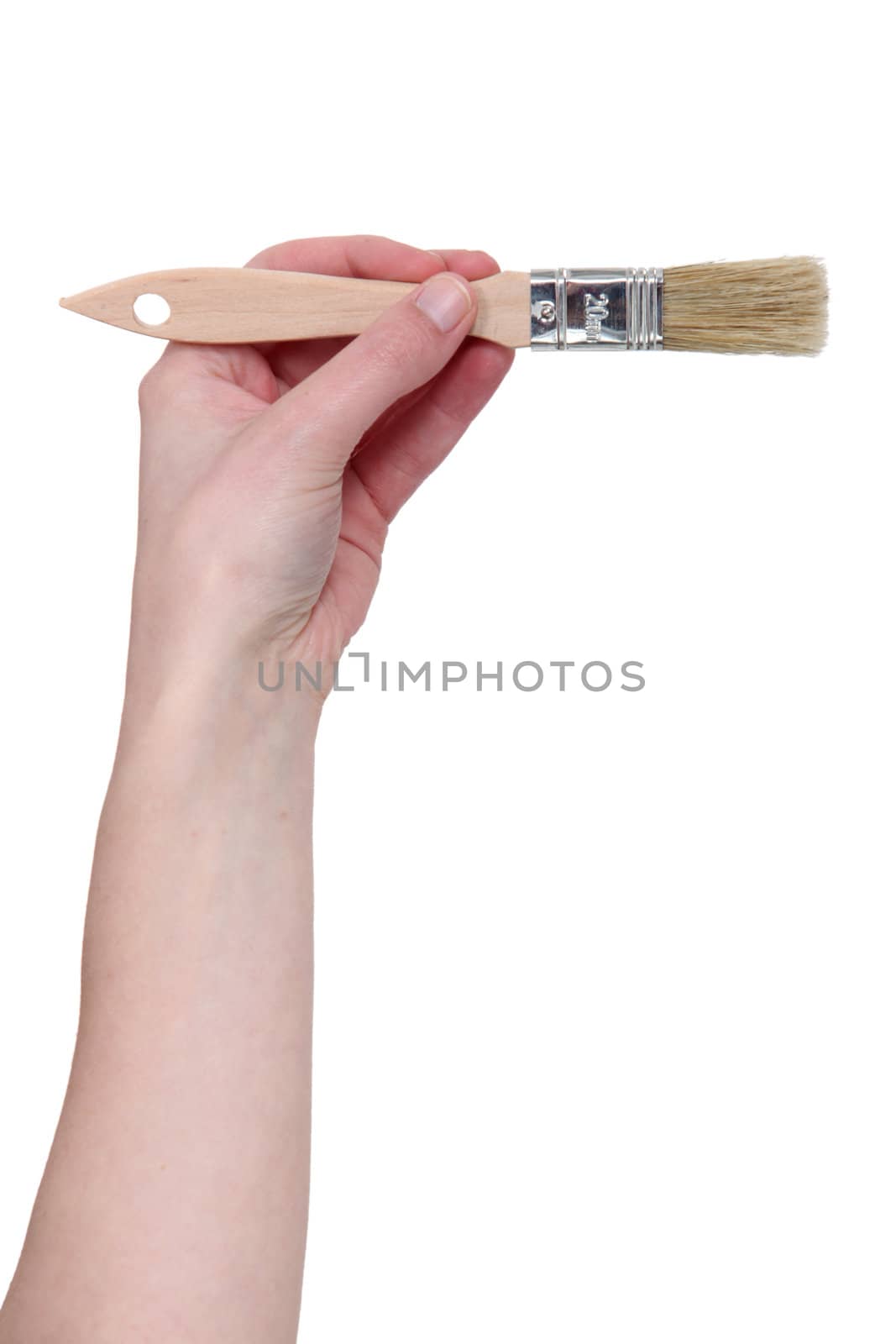 A hand with a painting brush. by phovoir
