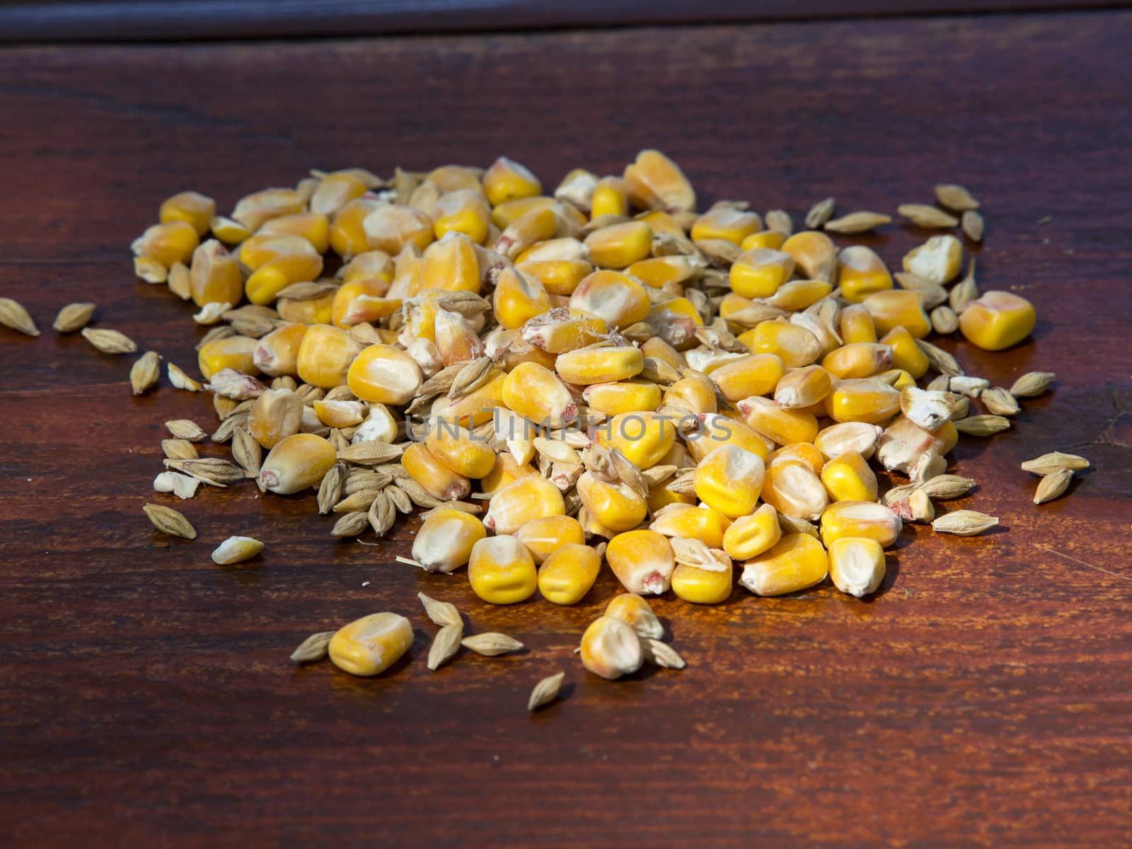 maize and other seeds on the wooden table