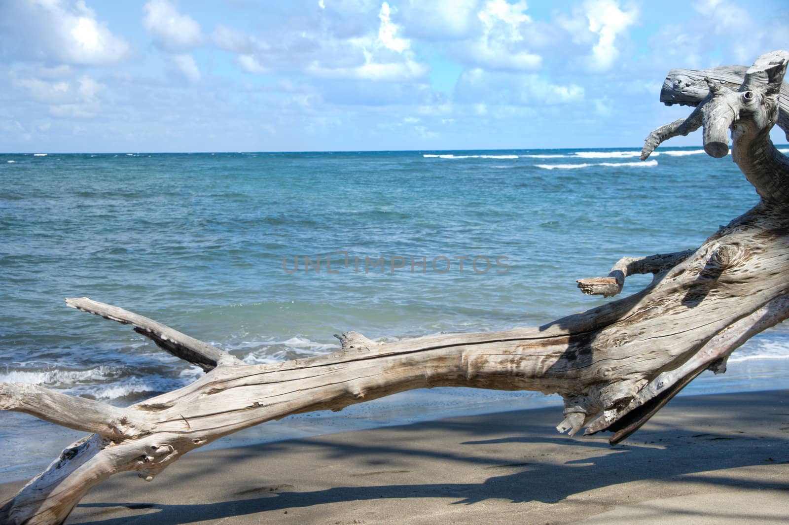 Rugged Hawaiian coastline with beautiful clouds and driftwood at Waihee Beach Park, Maui, Hawaii