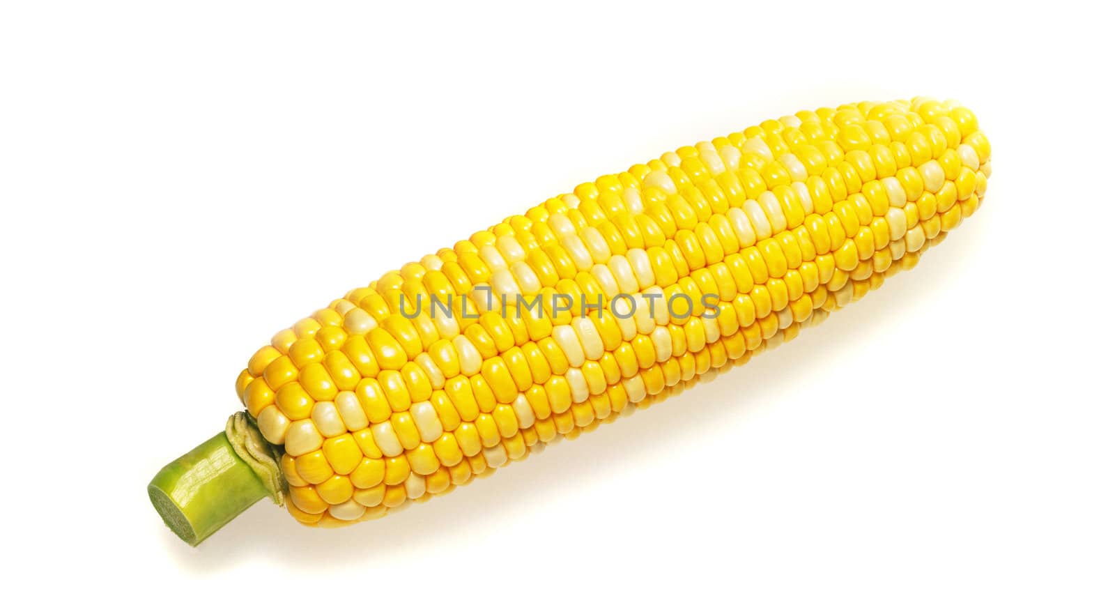 Fresh raw corn cob isolated on the white