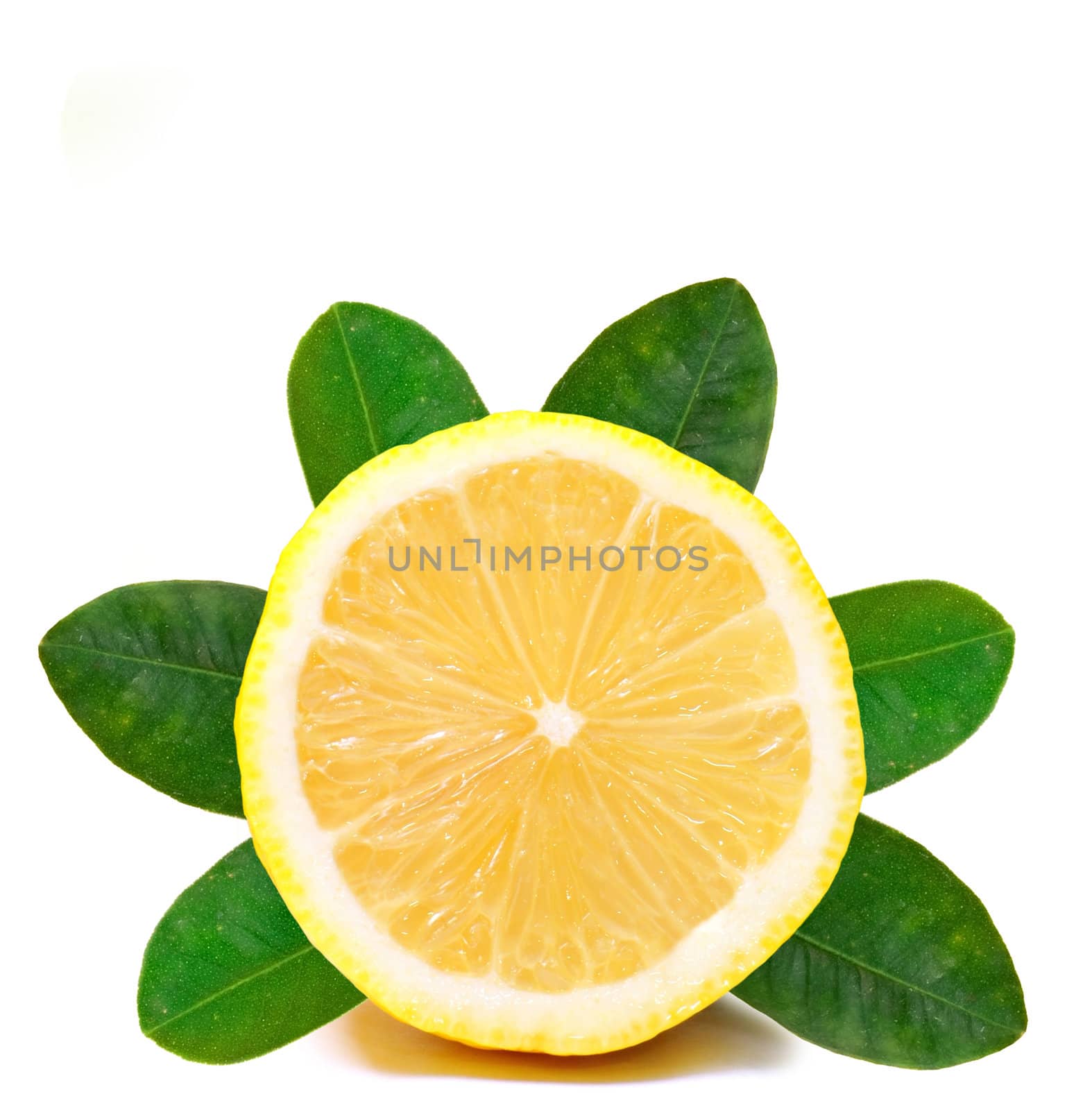 Fresh lemon on White ground