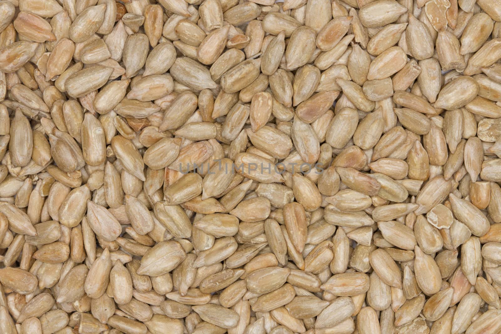 Sunflower Seeds Texture As Background.