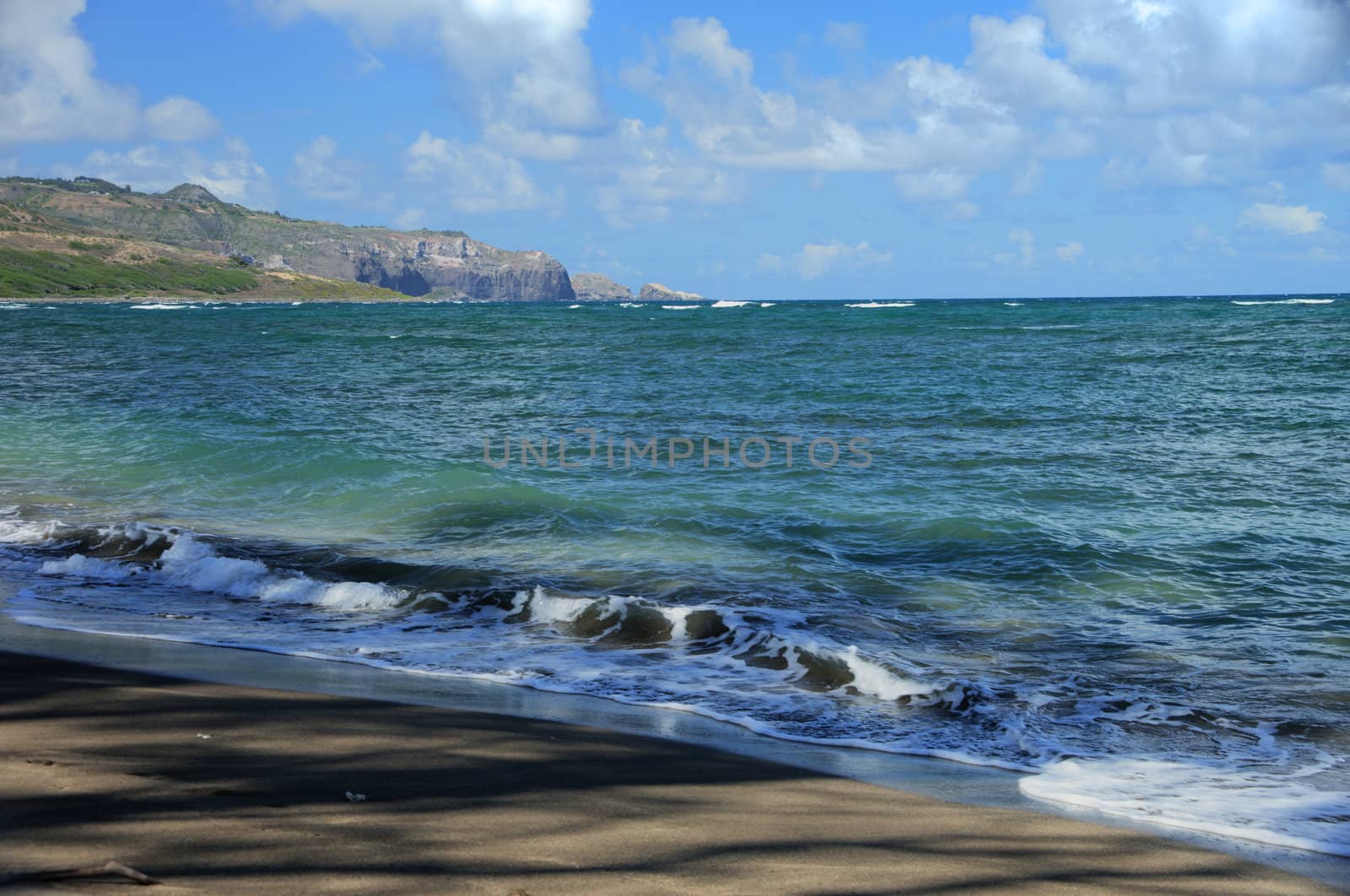 Rugged Hawaiian coastline with beautiful clouds and driftwood at Waihee Beach Park, Maui, Hawaii