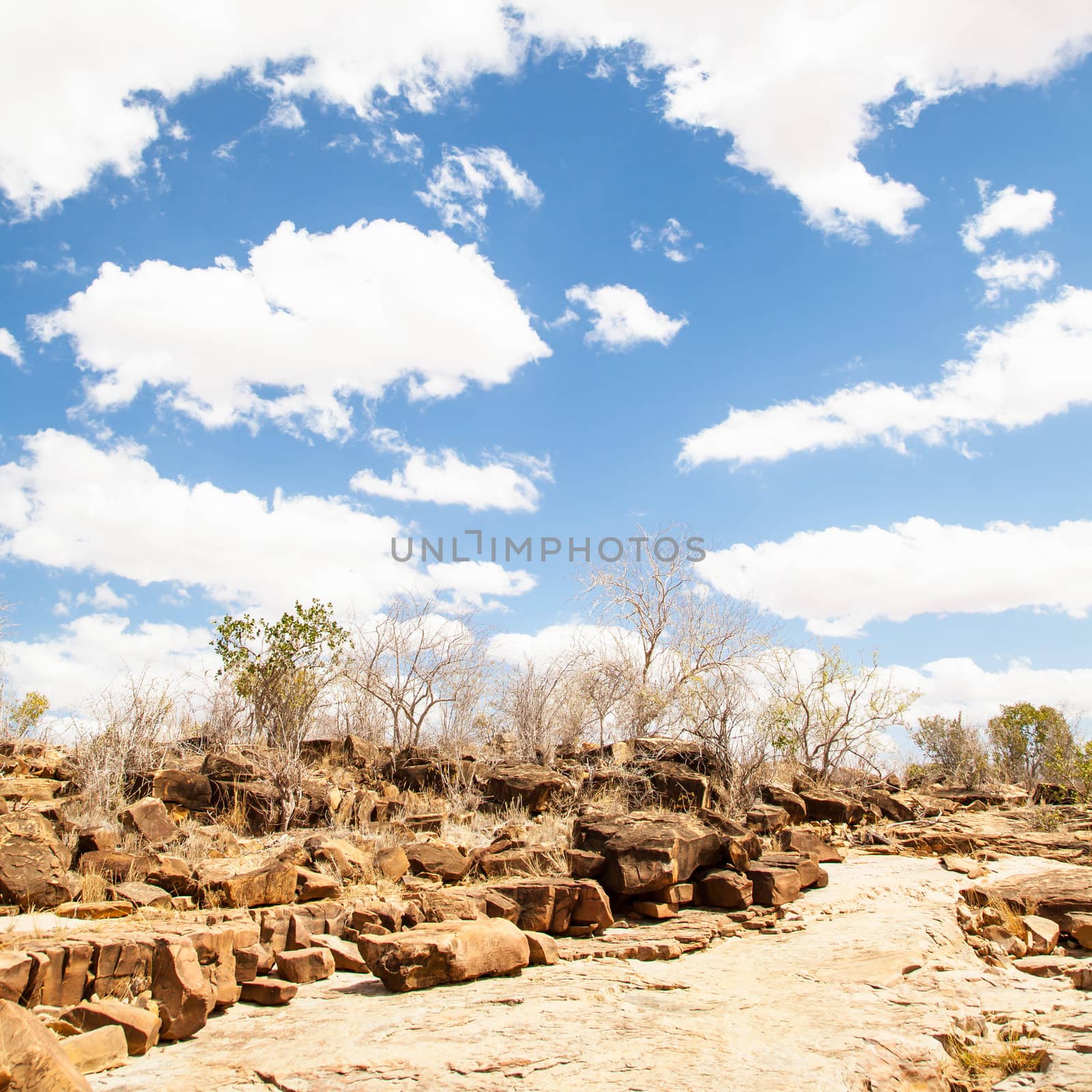 Kenya, Tsavo East National Park. A path in the middle of savanna with a wonderful blue sky