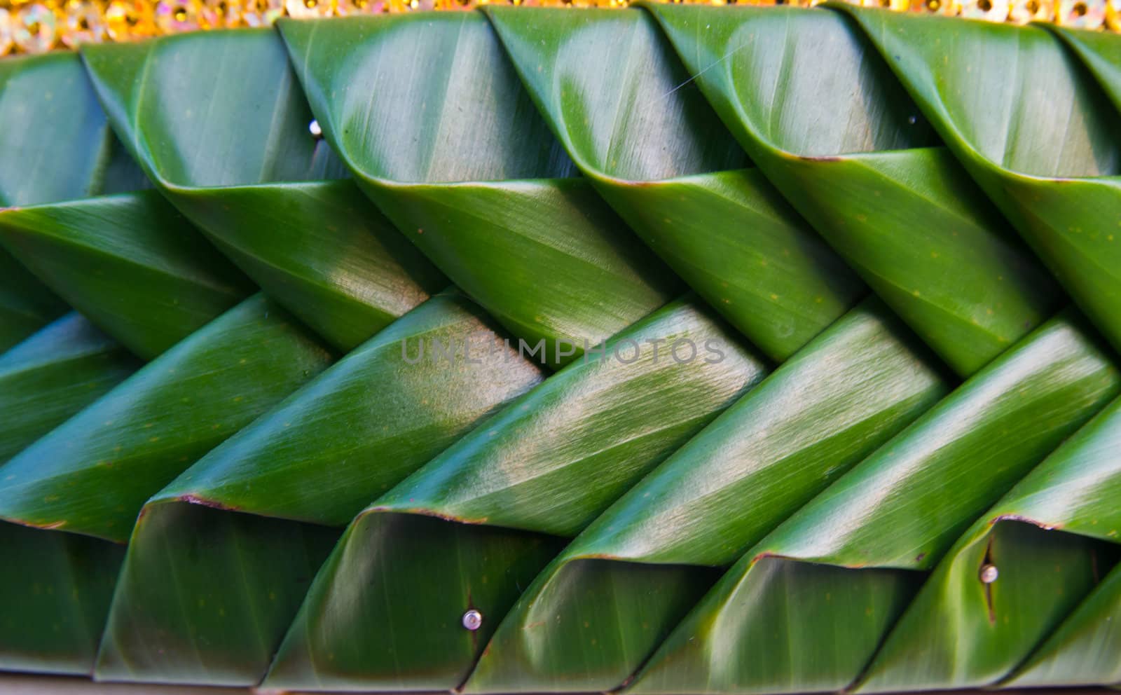 Green leaf decoration background, Thailand.