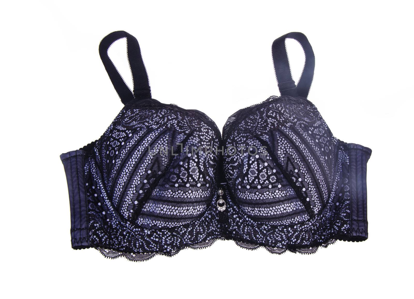 Bra. bra on the white background