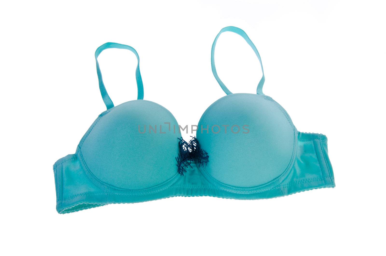 Bra. bra on the white background