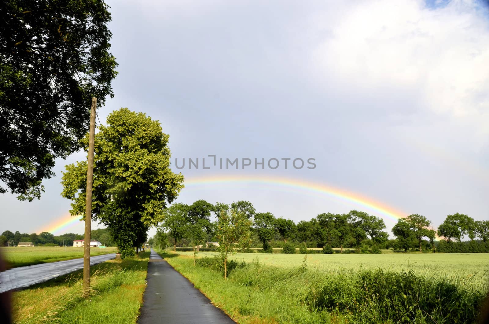 The photo shows a rainbow over the tops of trees growing next to the bike path and the rim of the field, after a sudden, torrential rain.