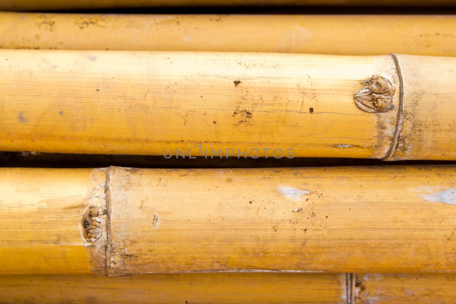 bamboo fence  by wasan_gredpree