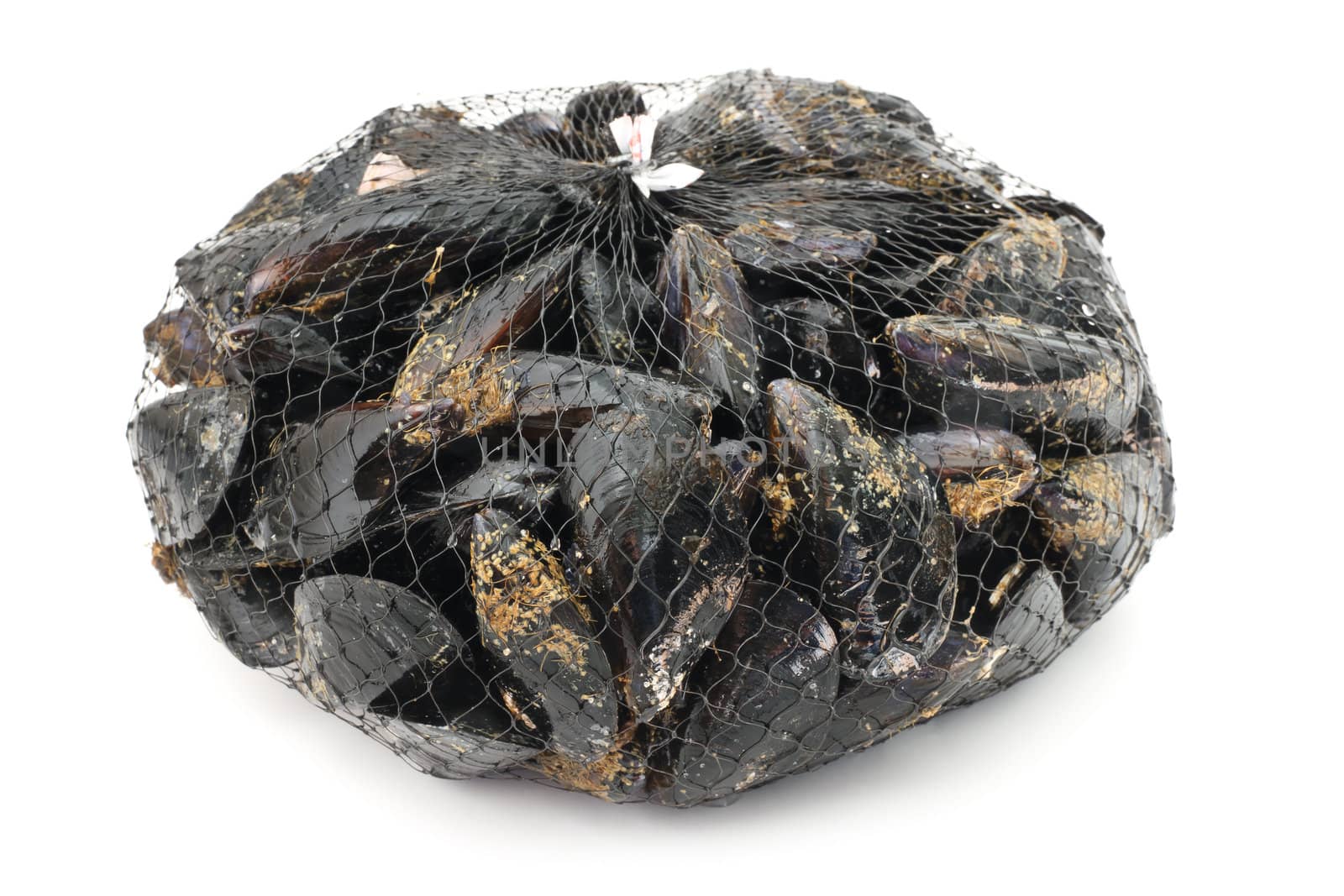 basket with fresh mussels over white background