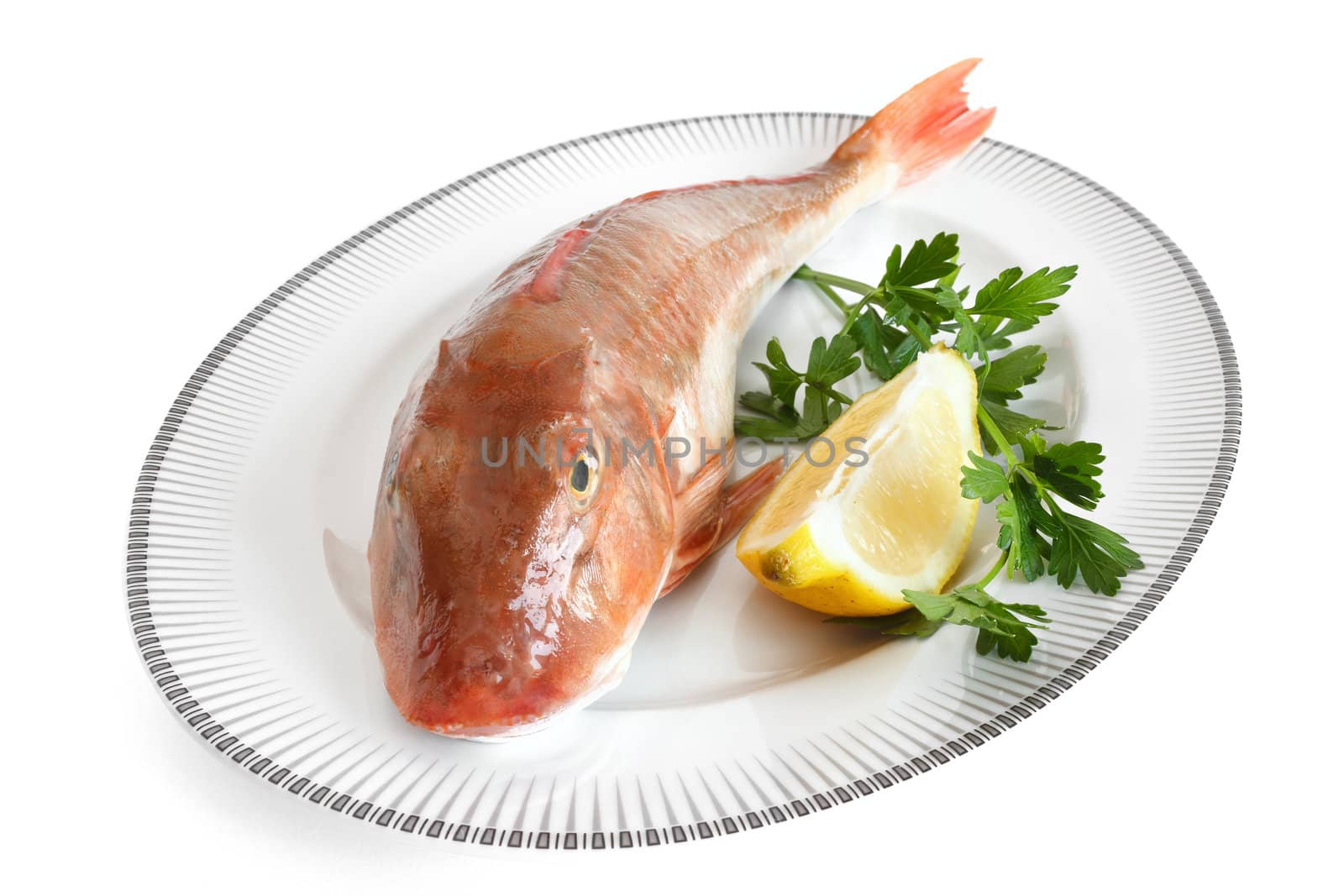 plate with tub gurnard, lemon and parsley isolated with clipping path