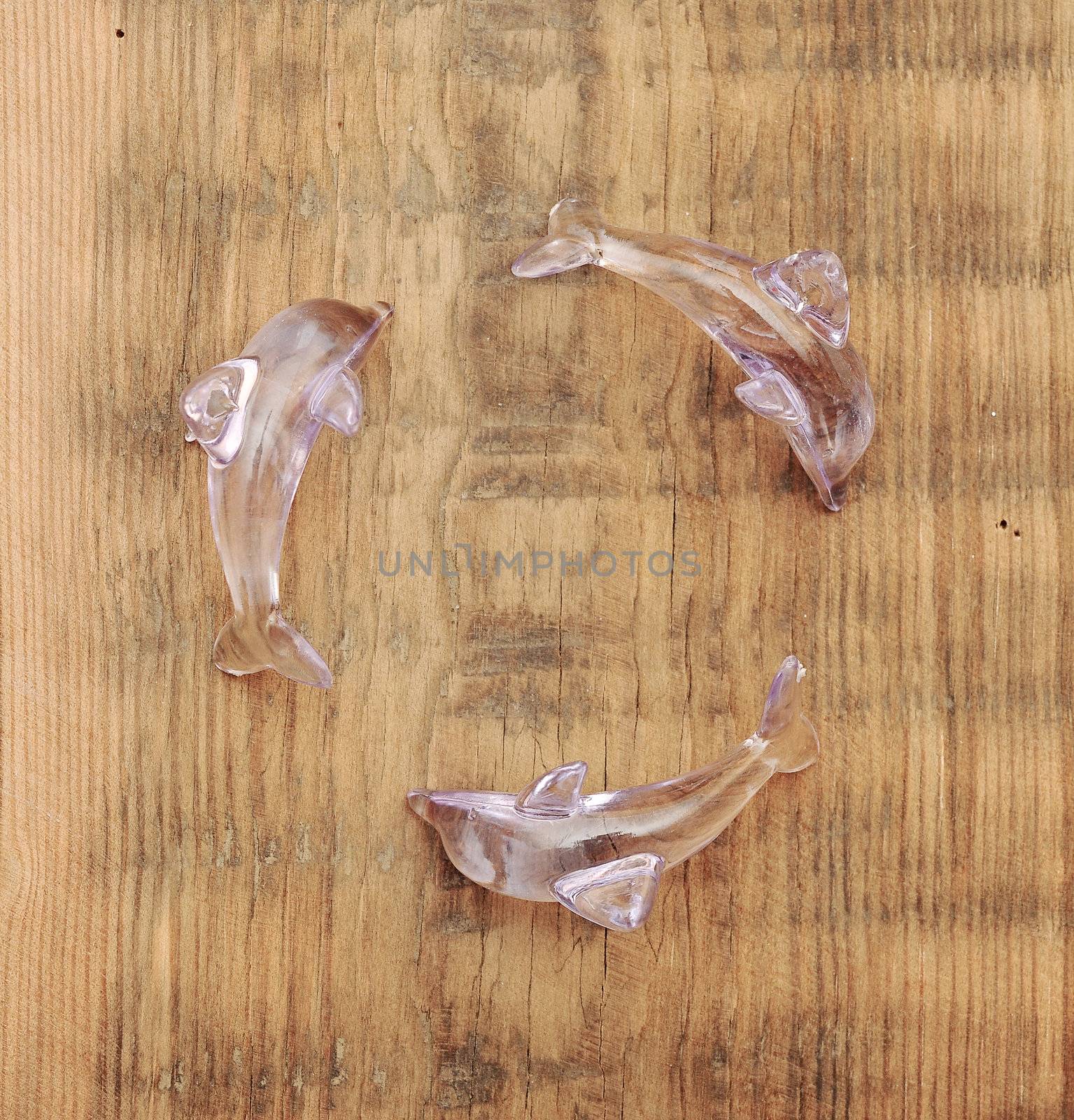 recycling symbol made crystal transparent dolphins sculpture wit by inxti