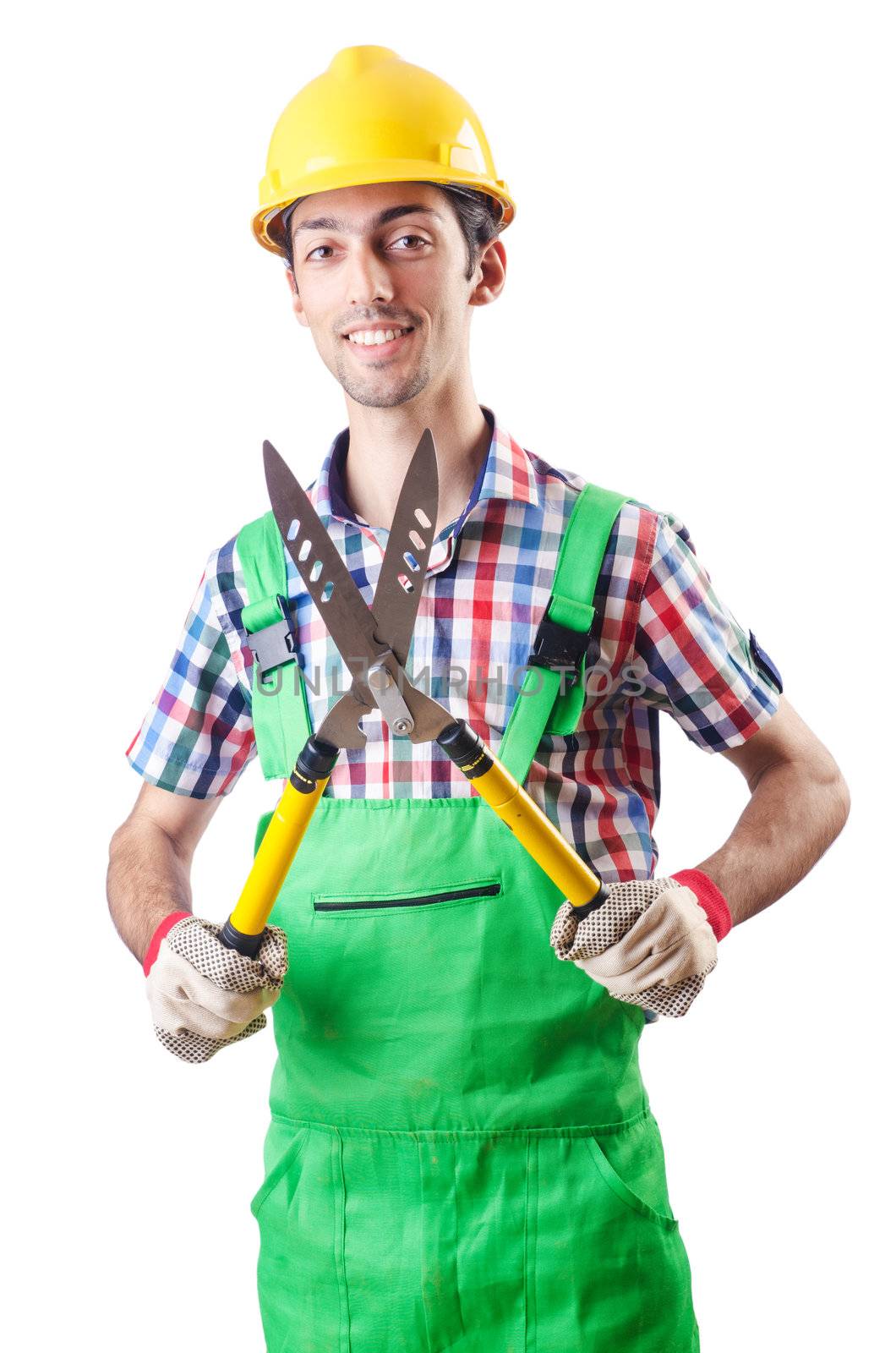 Man gardener with shears on white