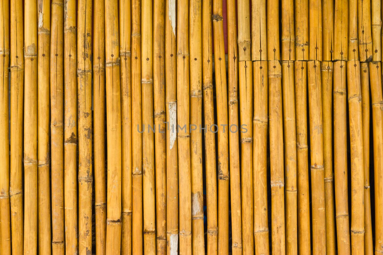 bamboo fence , at Thai  by wasan_gredpree