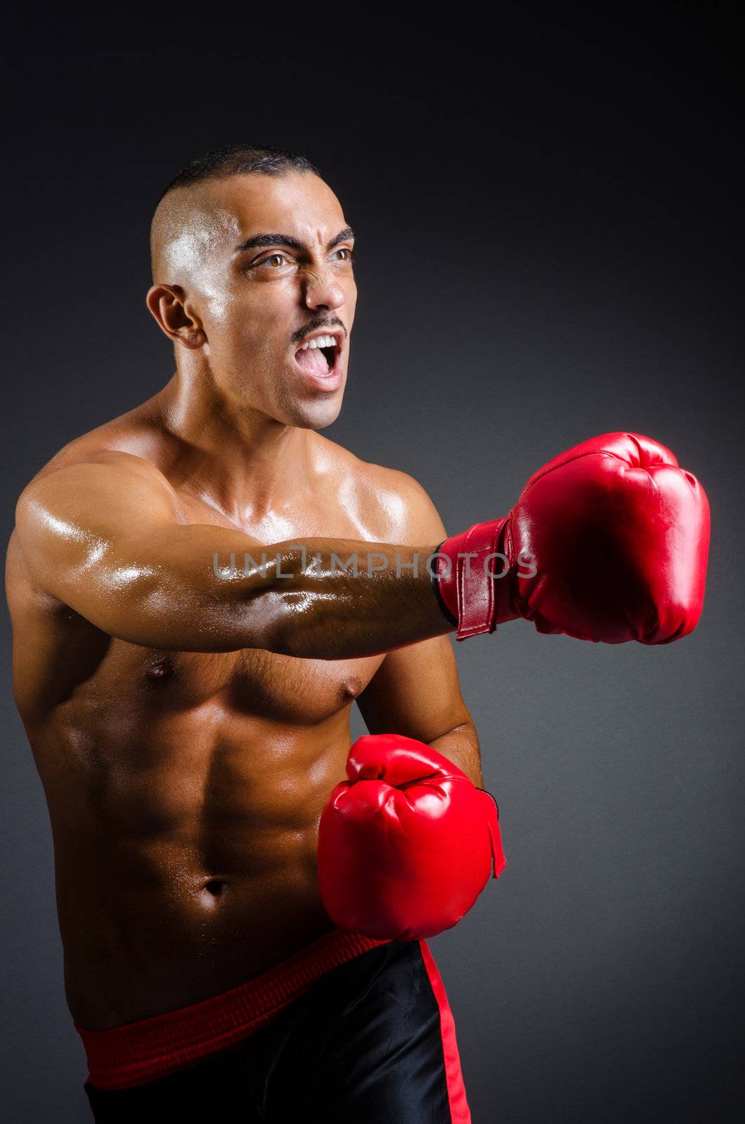 Muscular boxer in studio shooting by Elnur