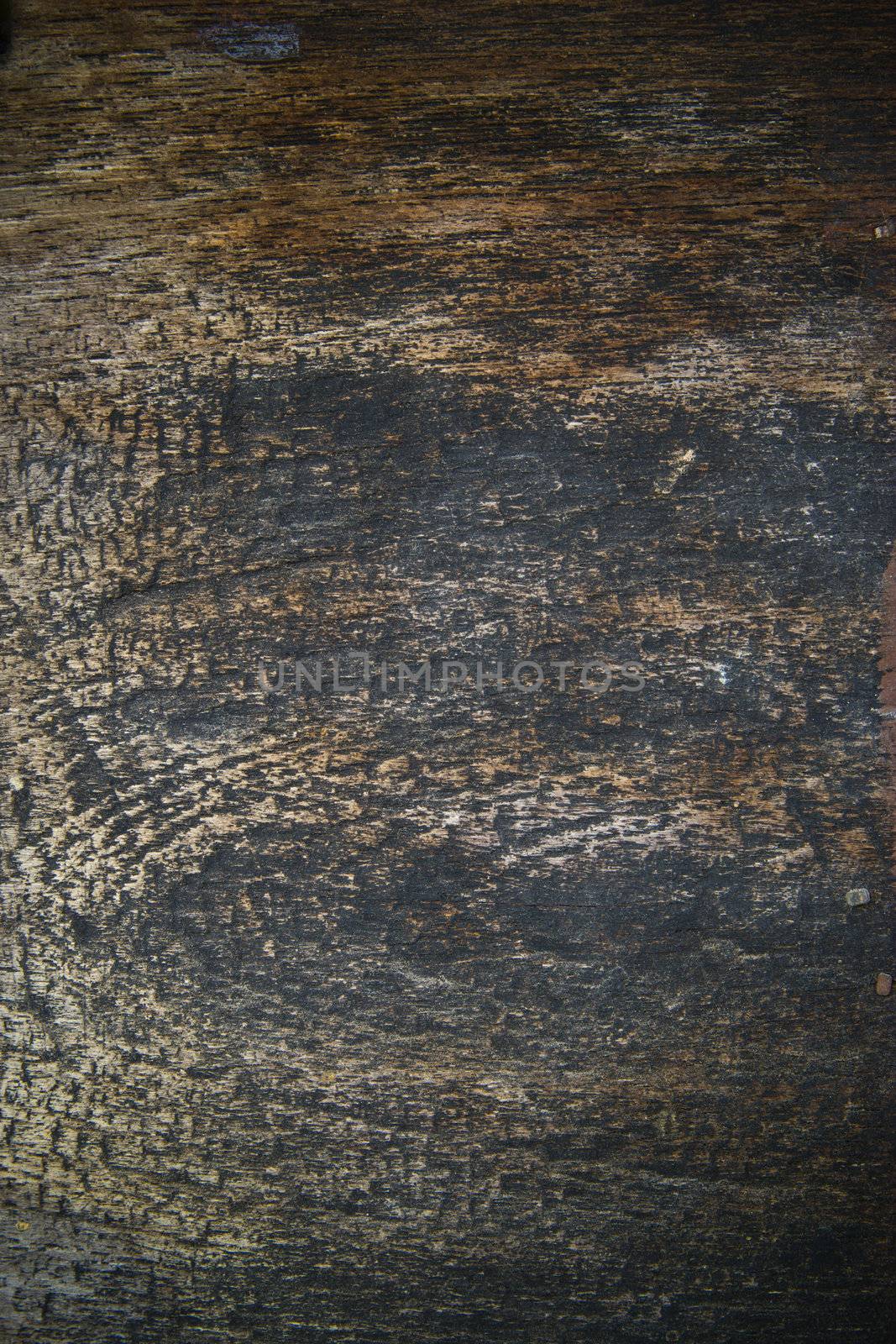 wood plank brown texture background  by wasan_gredpree